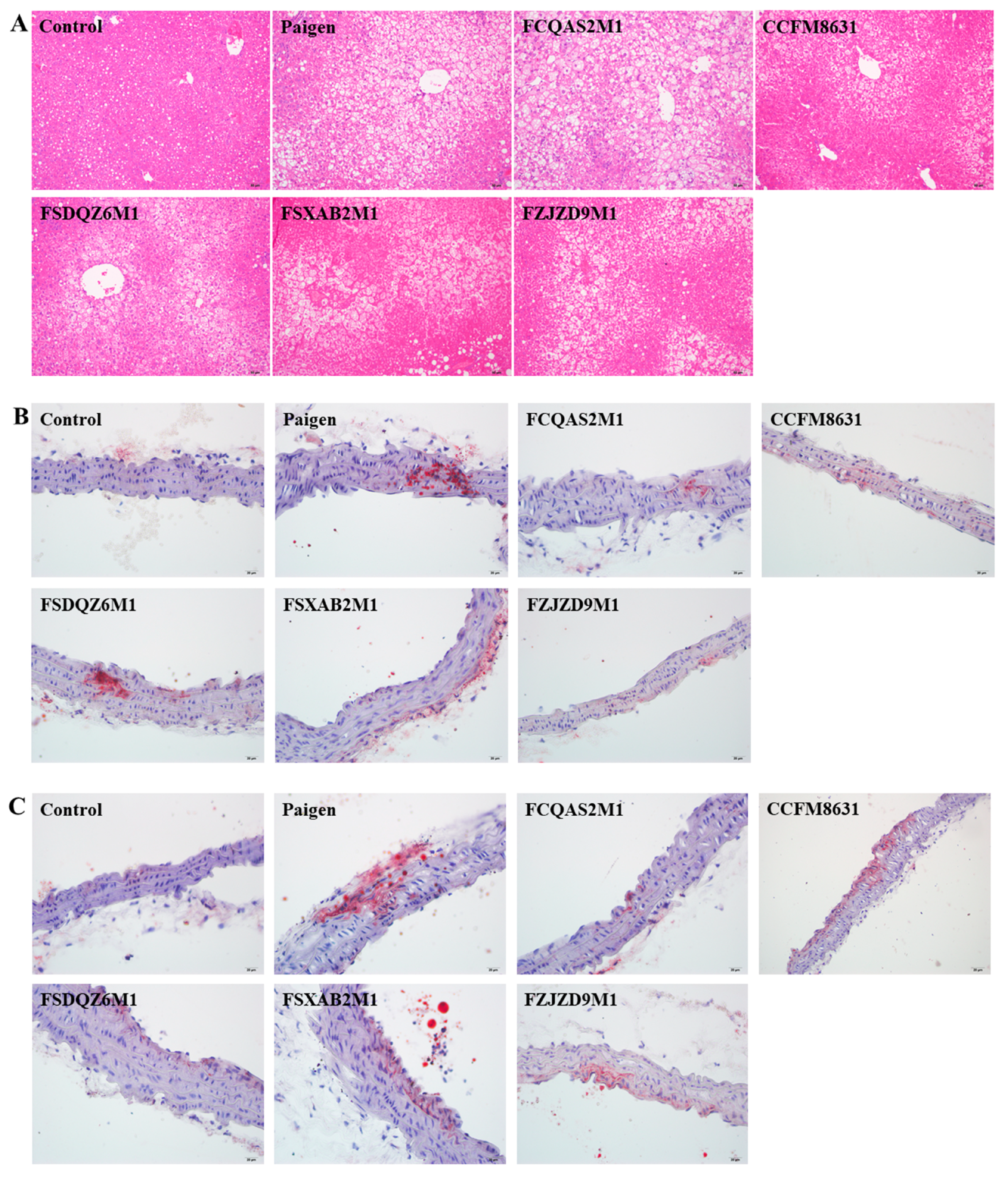 Nutrients 14 01272 g003