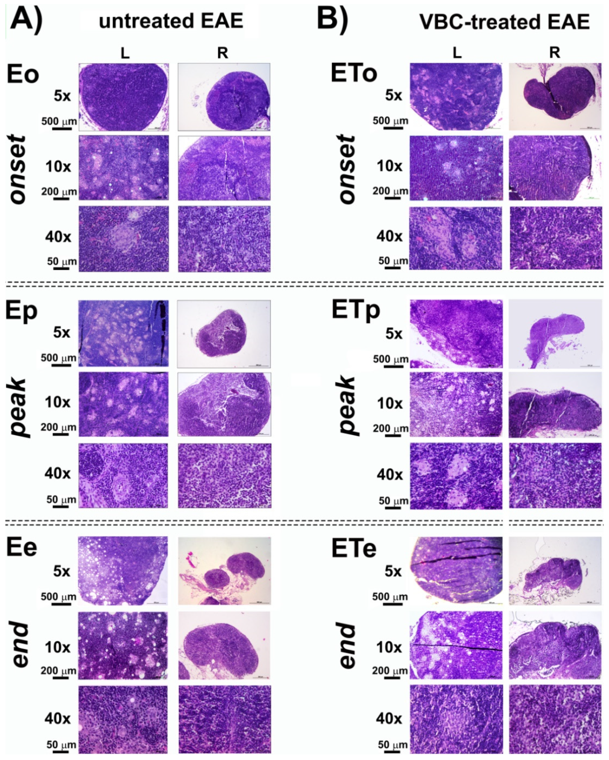 Nutrients 14 01273 g003