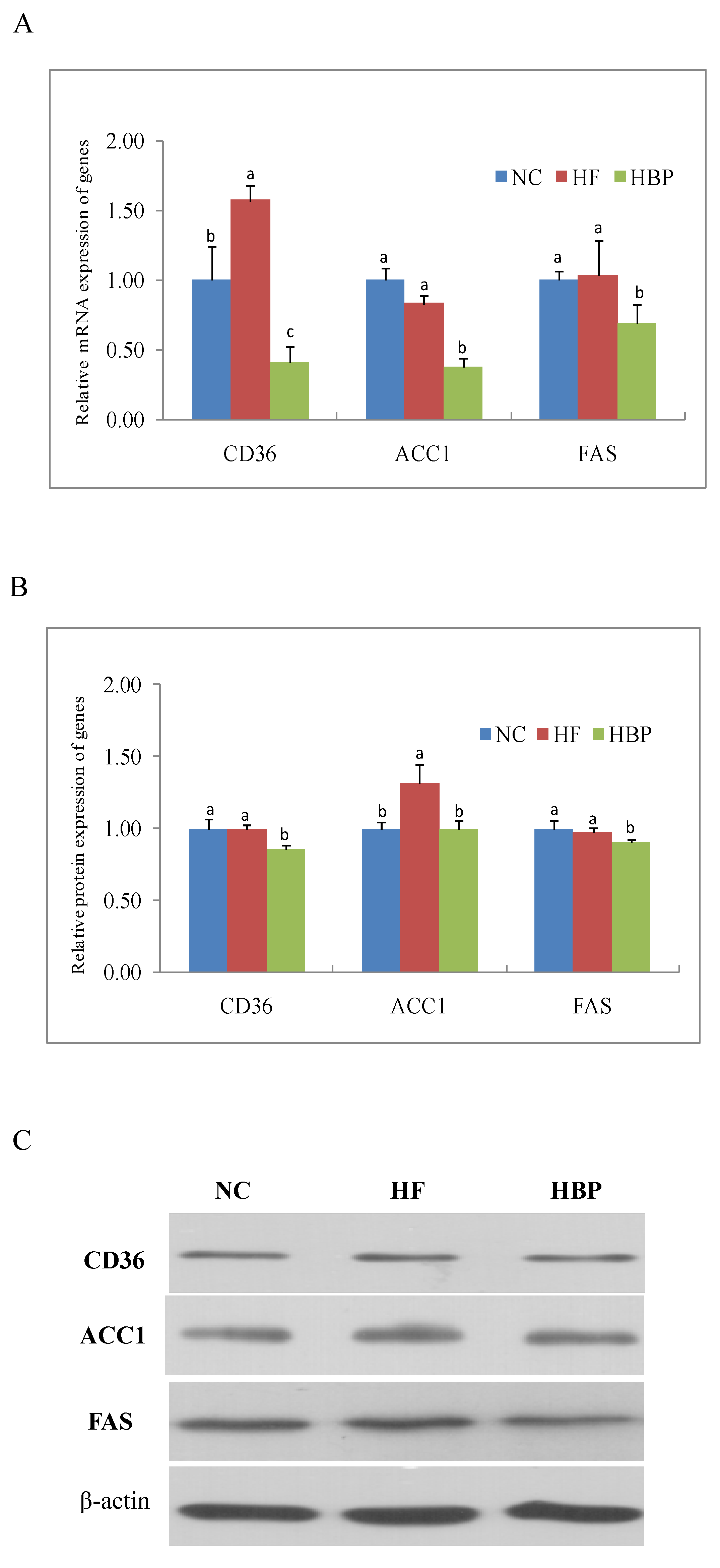 Nutrients 14 01277 g003 Nutrients 14 01277 g003