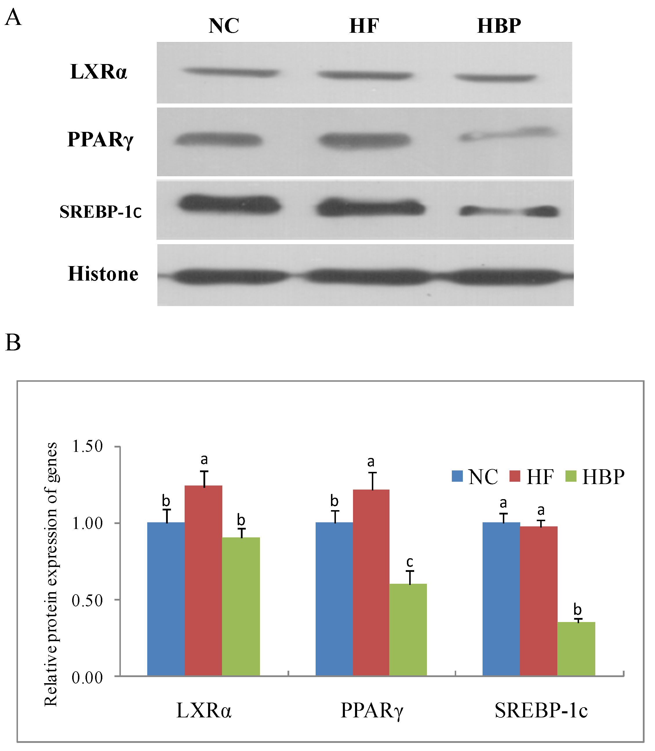 Nutrients 14 01277 g005 Nutrients 14 01277 g005