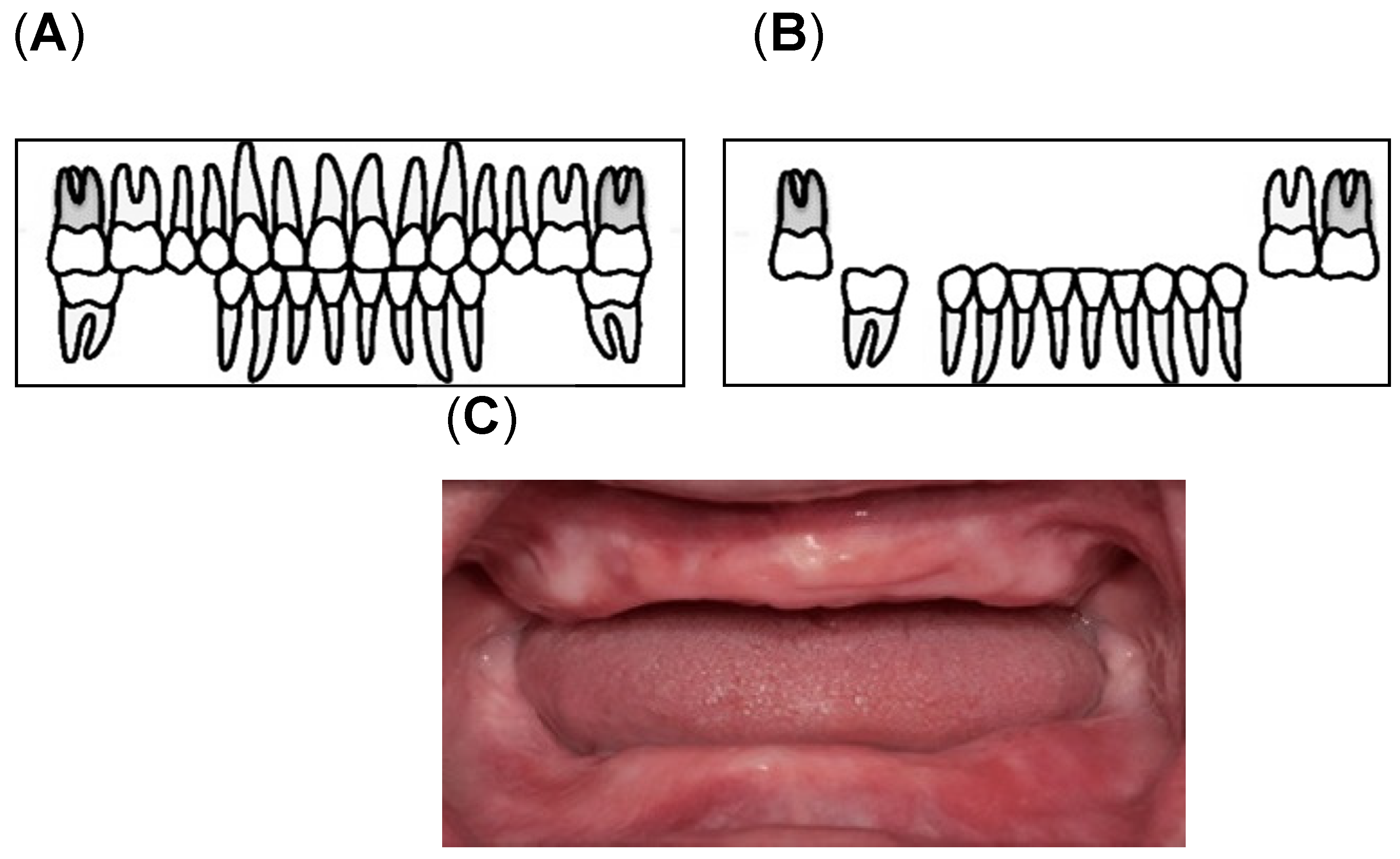 Nutrients 14 01279 g002