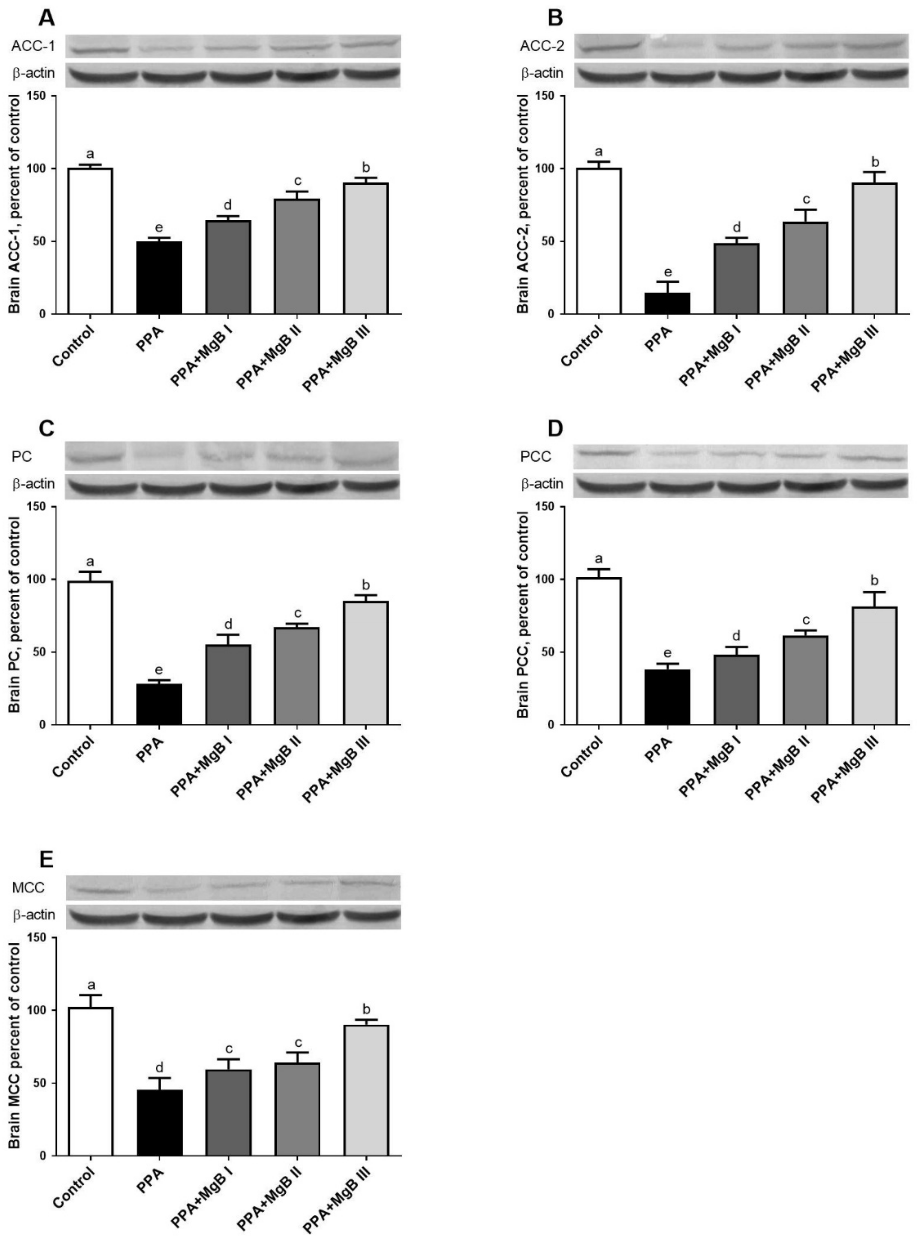 Nutrients 14 01280 g004