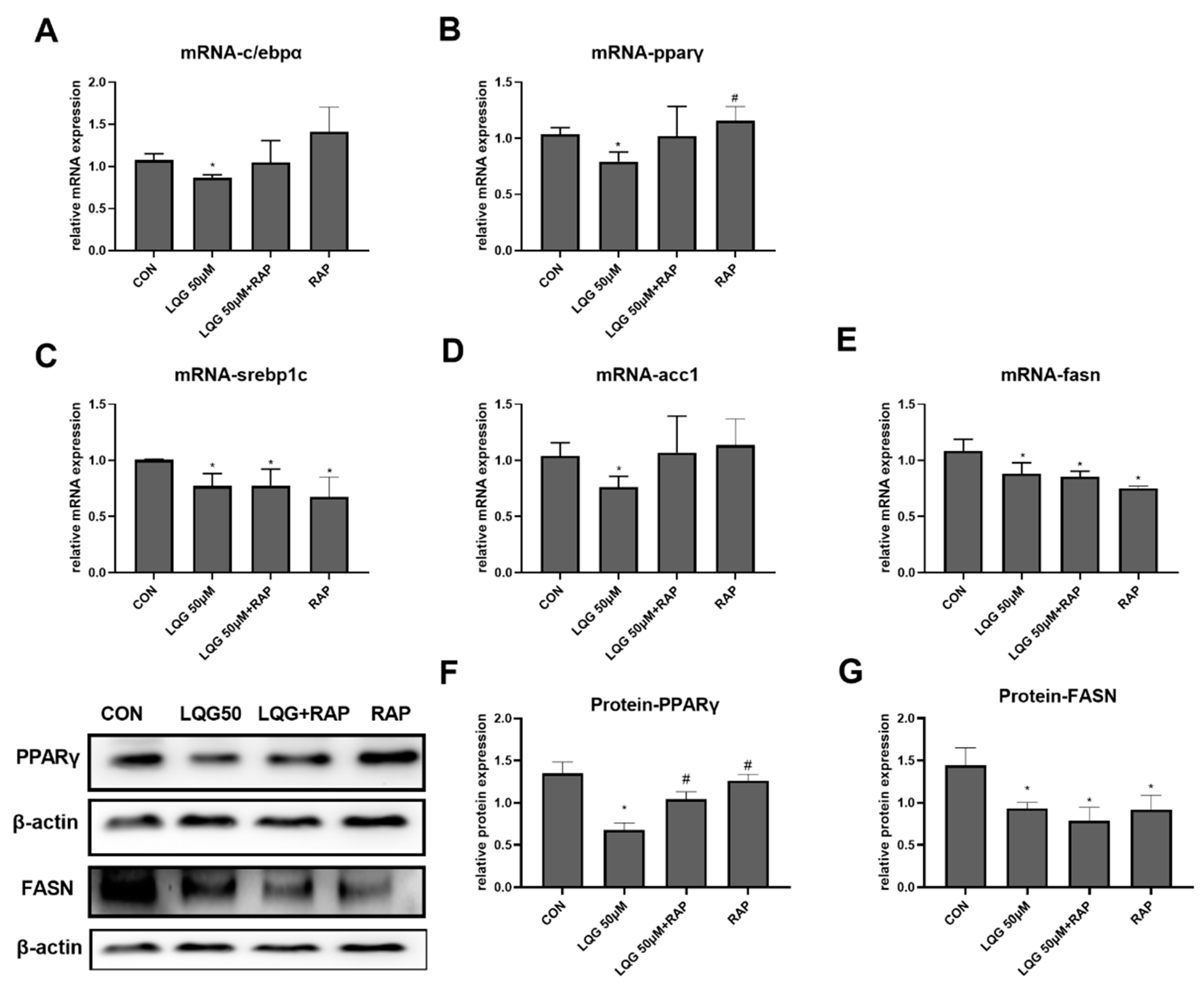 Nutrients 14 01287 g005