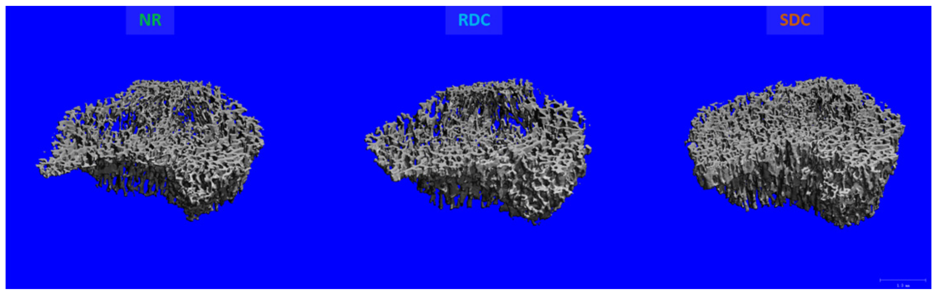 Nutrients 14 01303 g002 Nutrients 14 01303 g002