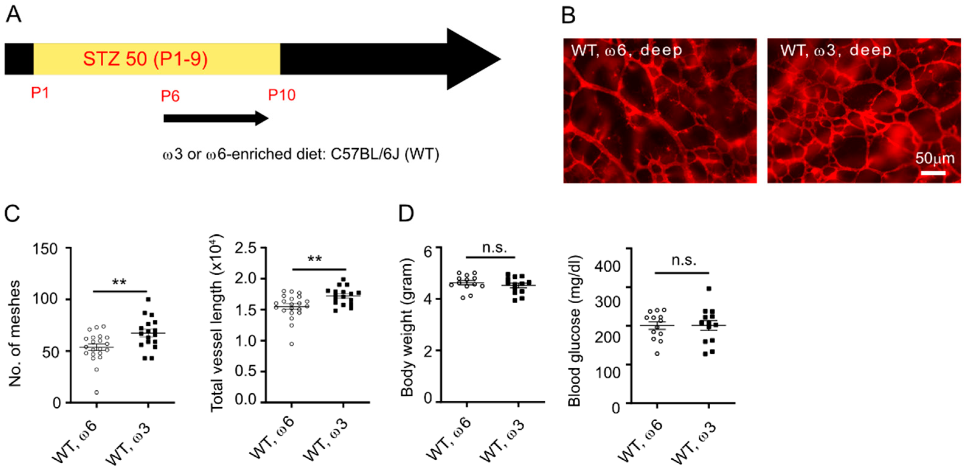 Nutrients 14 01333 g002 Nutrients 14 01333 g002