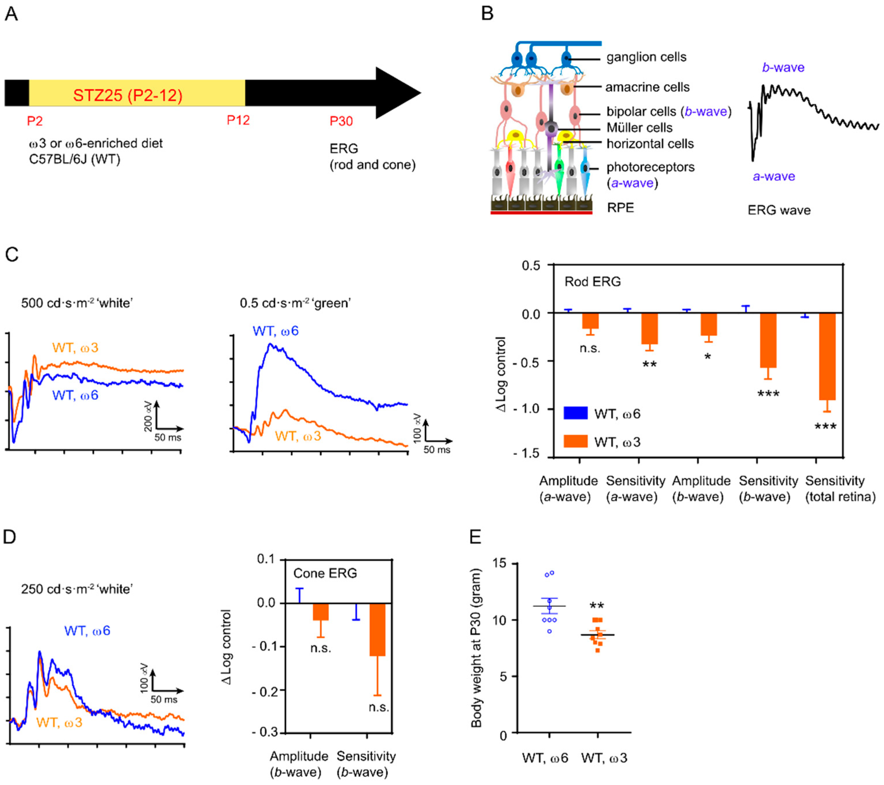 Nutrients 14 01333 g007 Nutrients 14 01333 g007