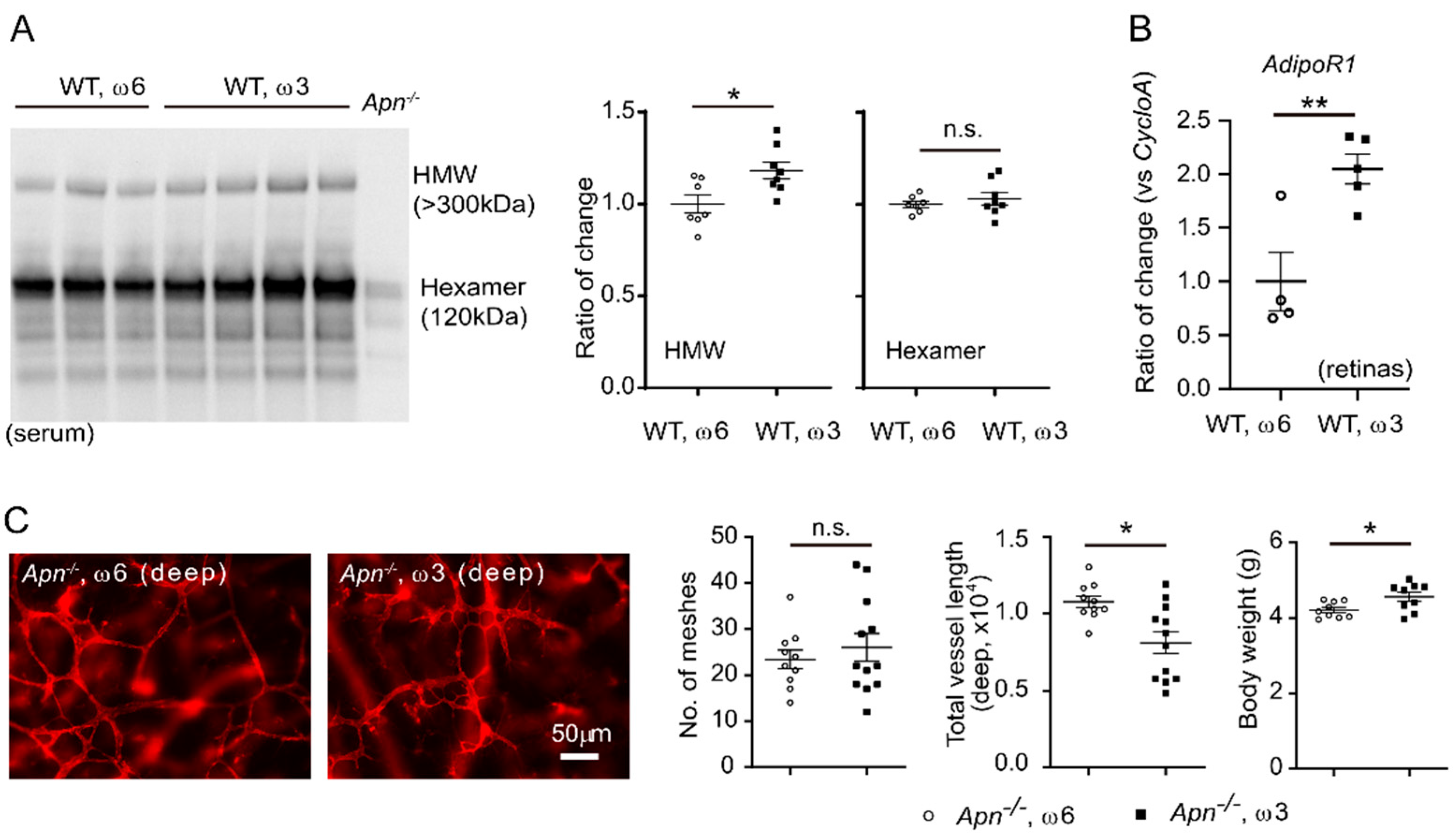 Nutrients 14 01333 g008 Nutrients 14 01333 g008