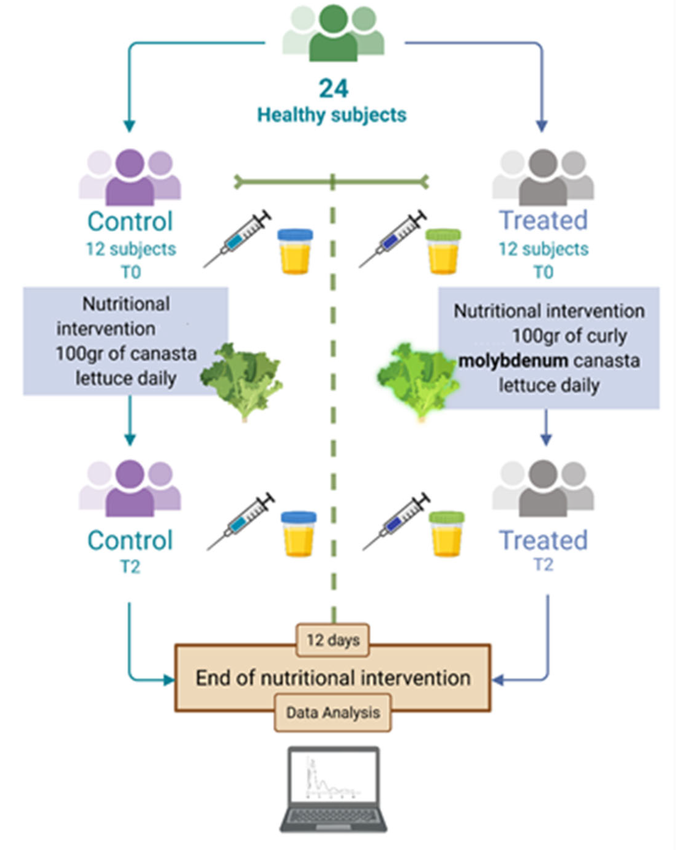 Nutrients 14 01351 g001