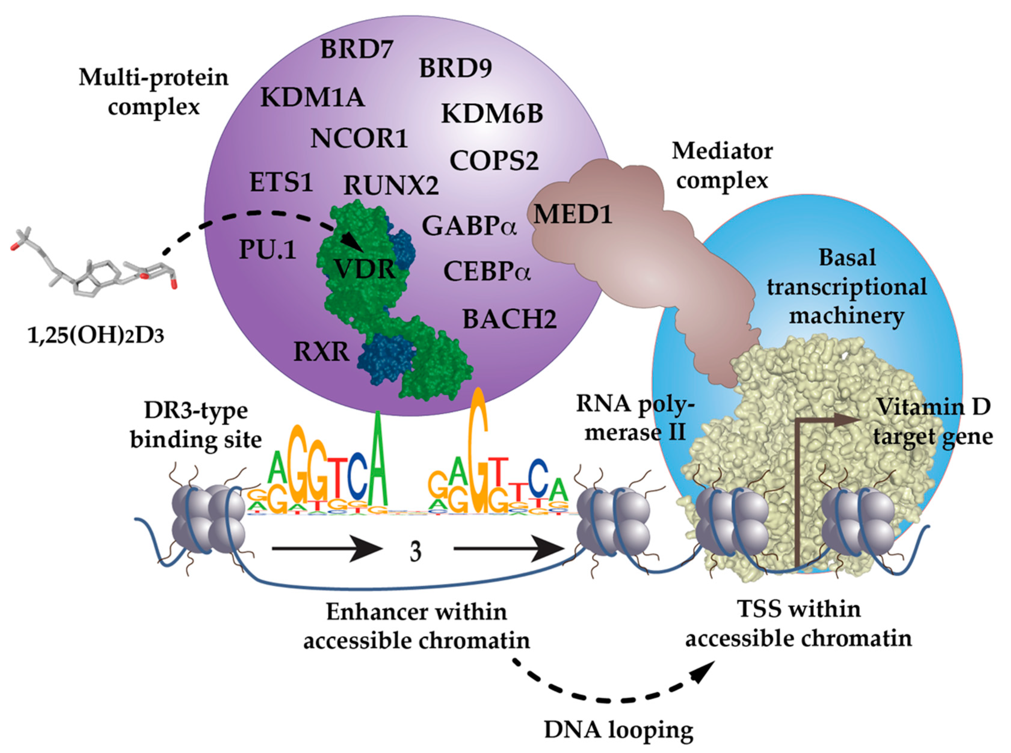 https://www.mdpi.com/nutrients/nutrients-14-01354/article_deploy/html/images/nutrients-14-01354-g001.png