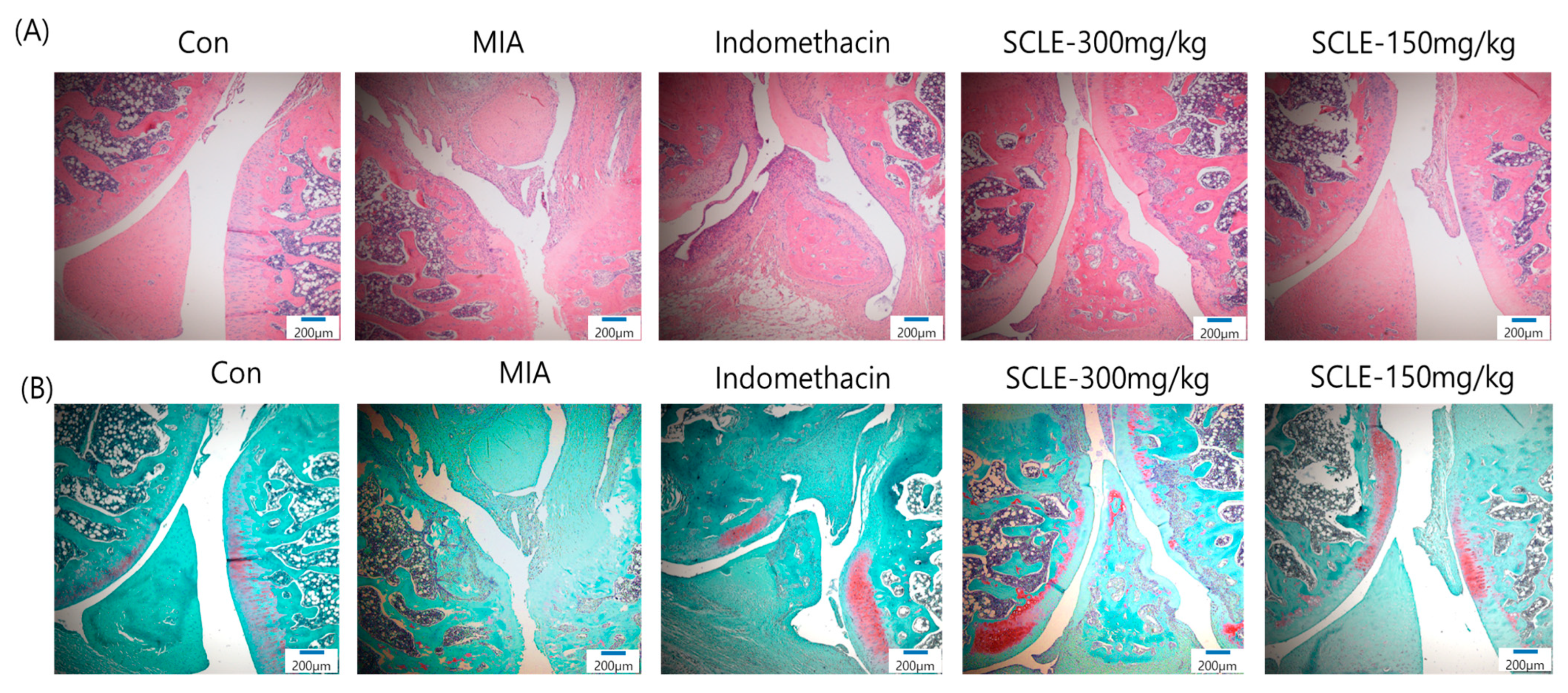 Nutrients 14 01356 g007