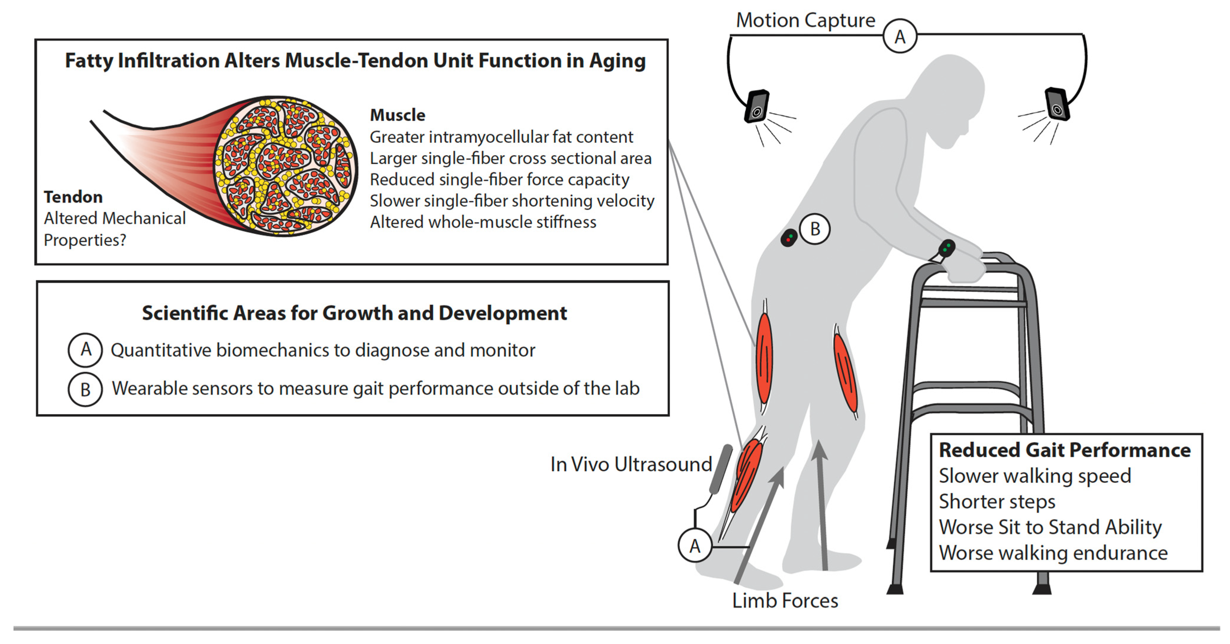 Nutrients 14 01384 g003 Nutrients 14 01384 g003