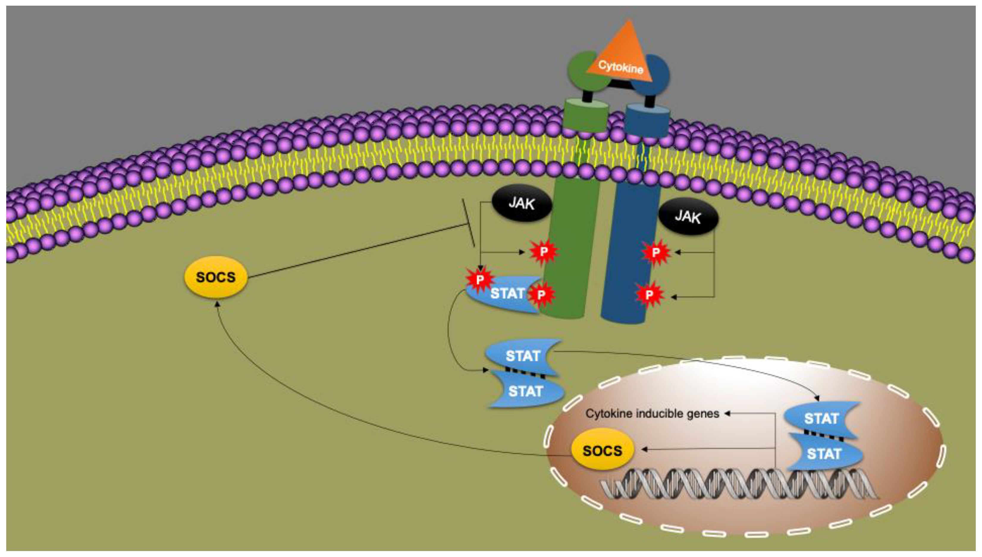 Nutrients 14 01388 g003