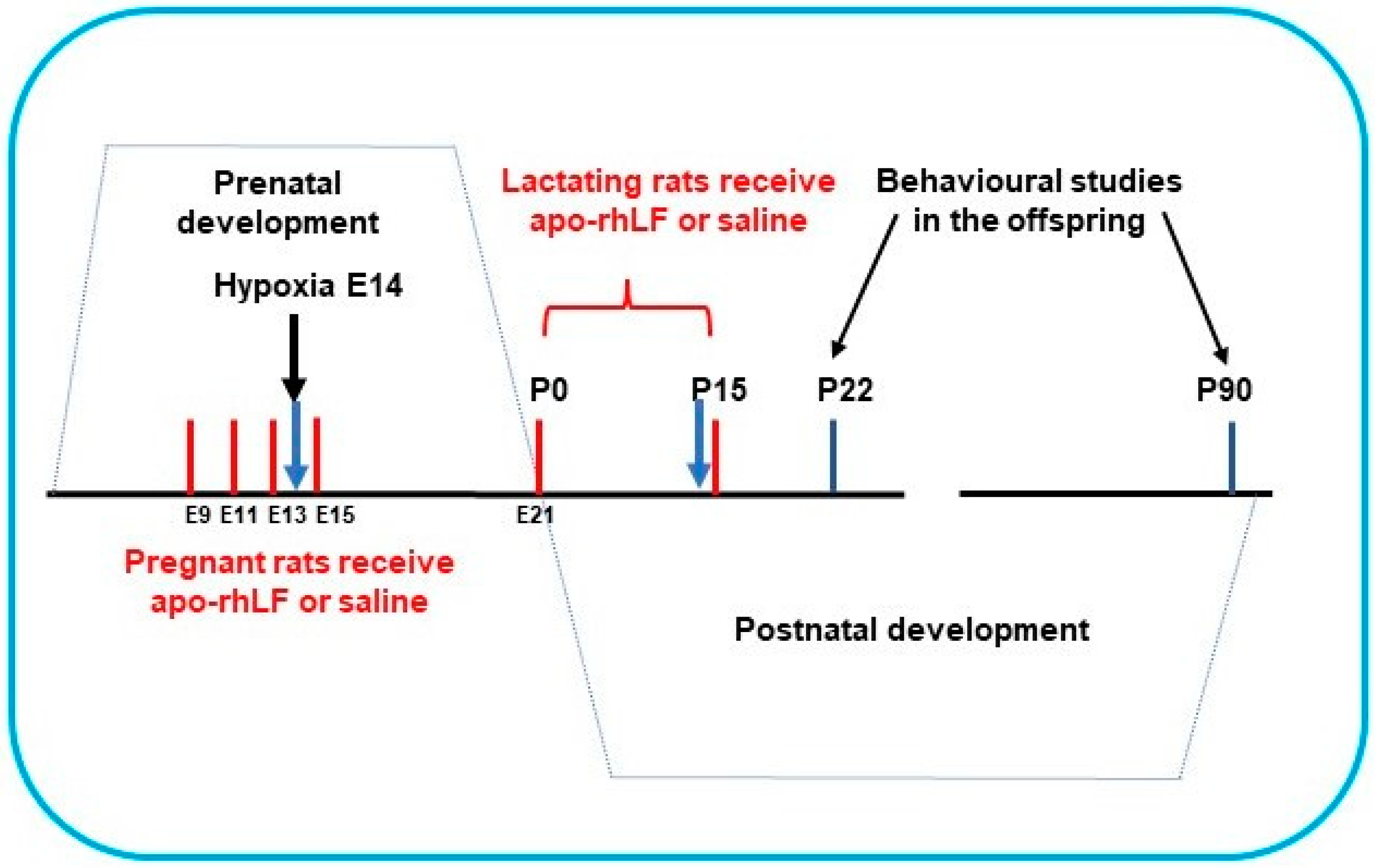 Nutrients 14 01399 g001 550