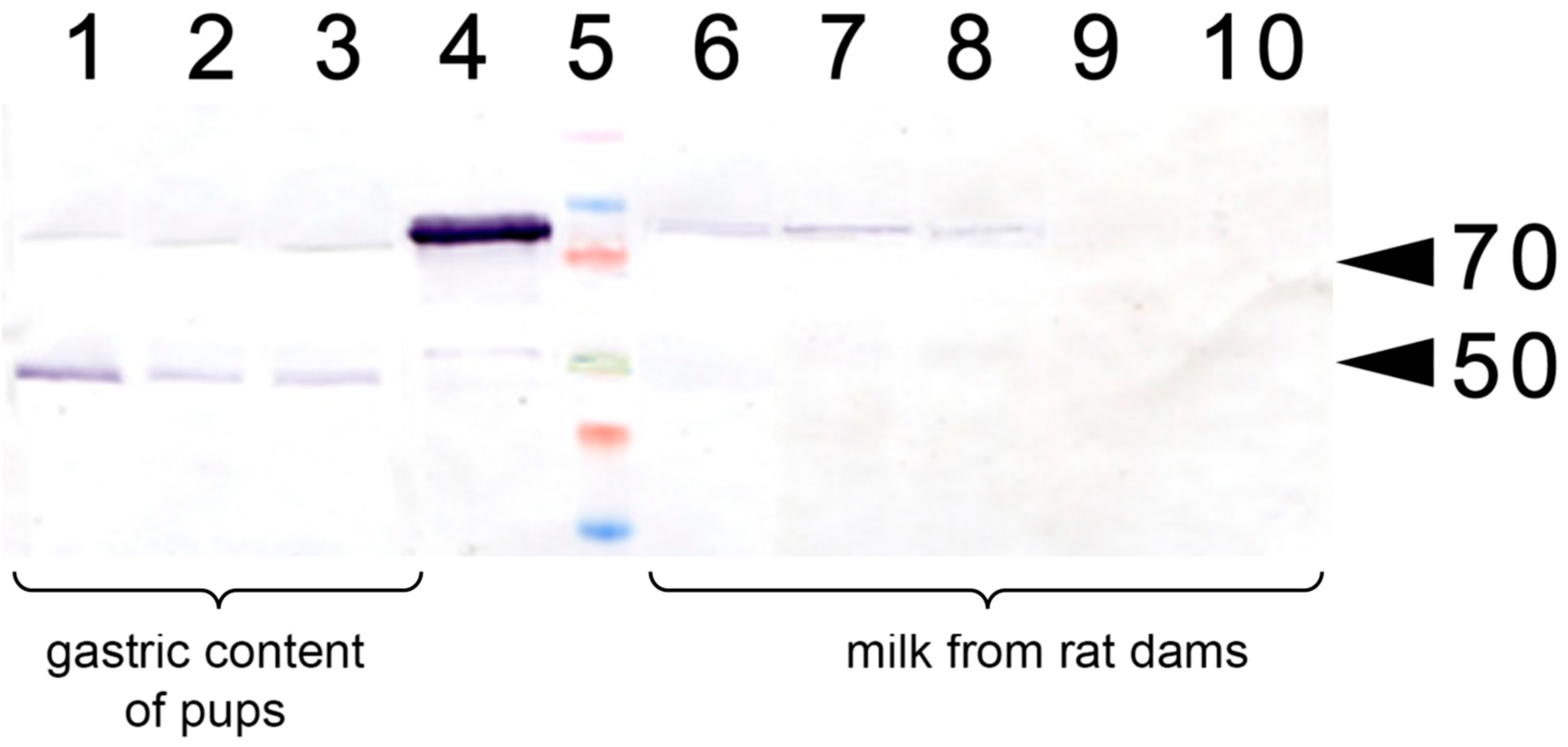 Nutrients 14 01399 g003 550