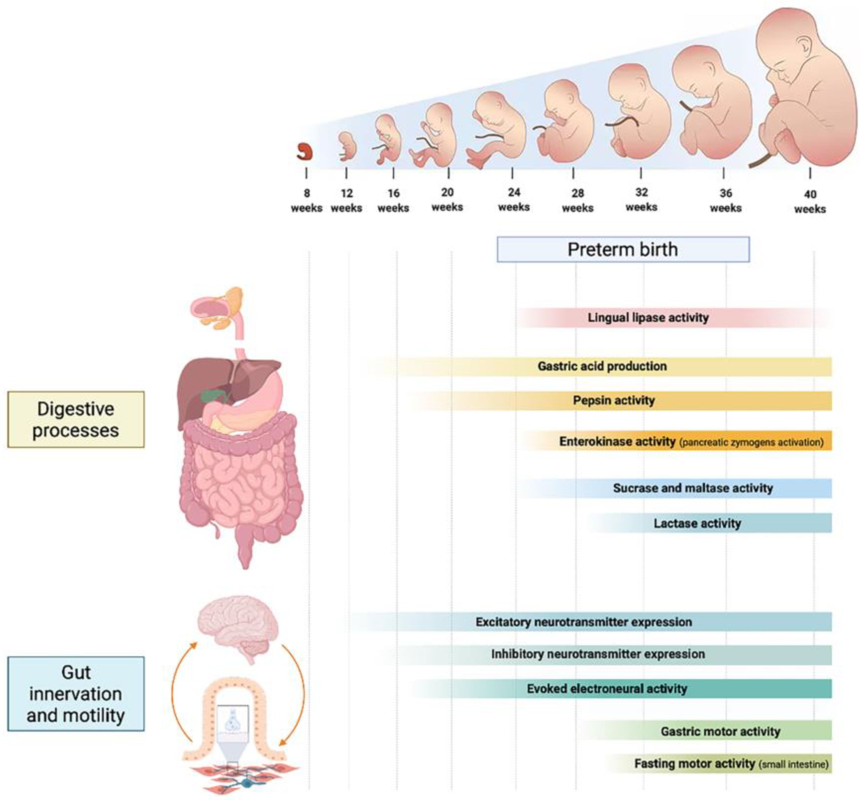 Nutrients 14 01405 g001 Nutrients 14 01405 g001