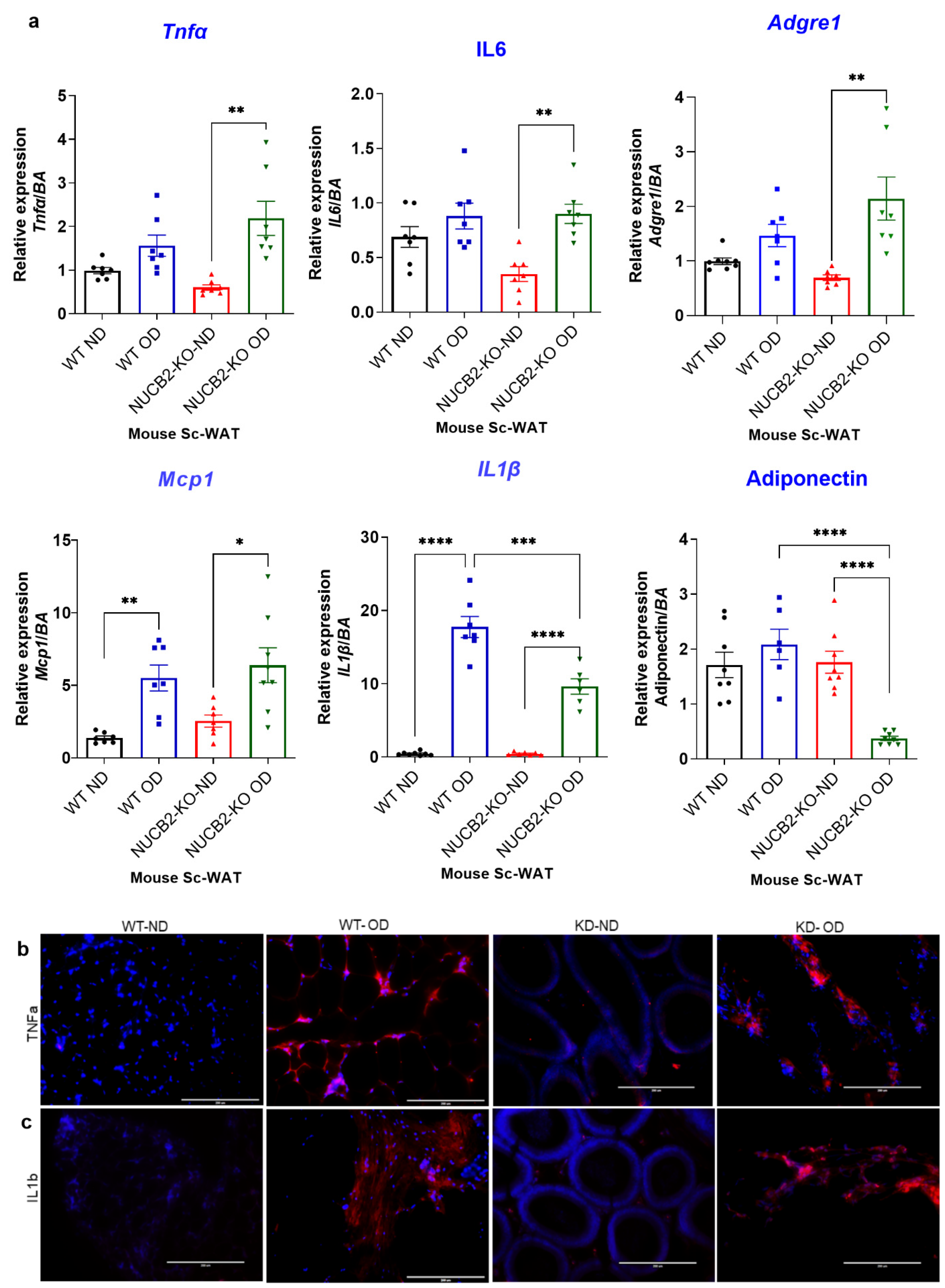 Nutrients 14 01409 g001