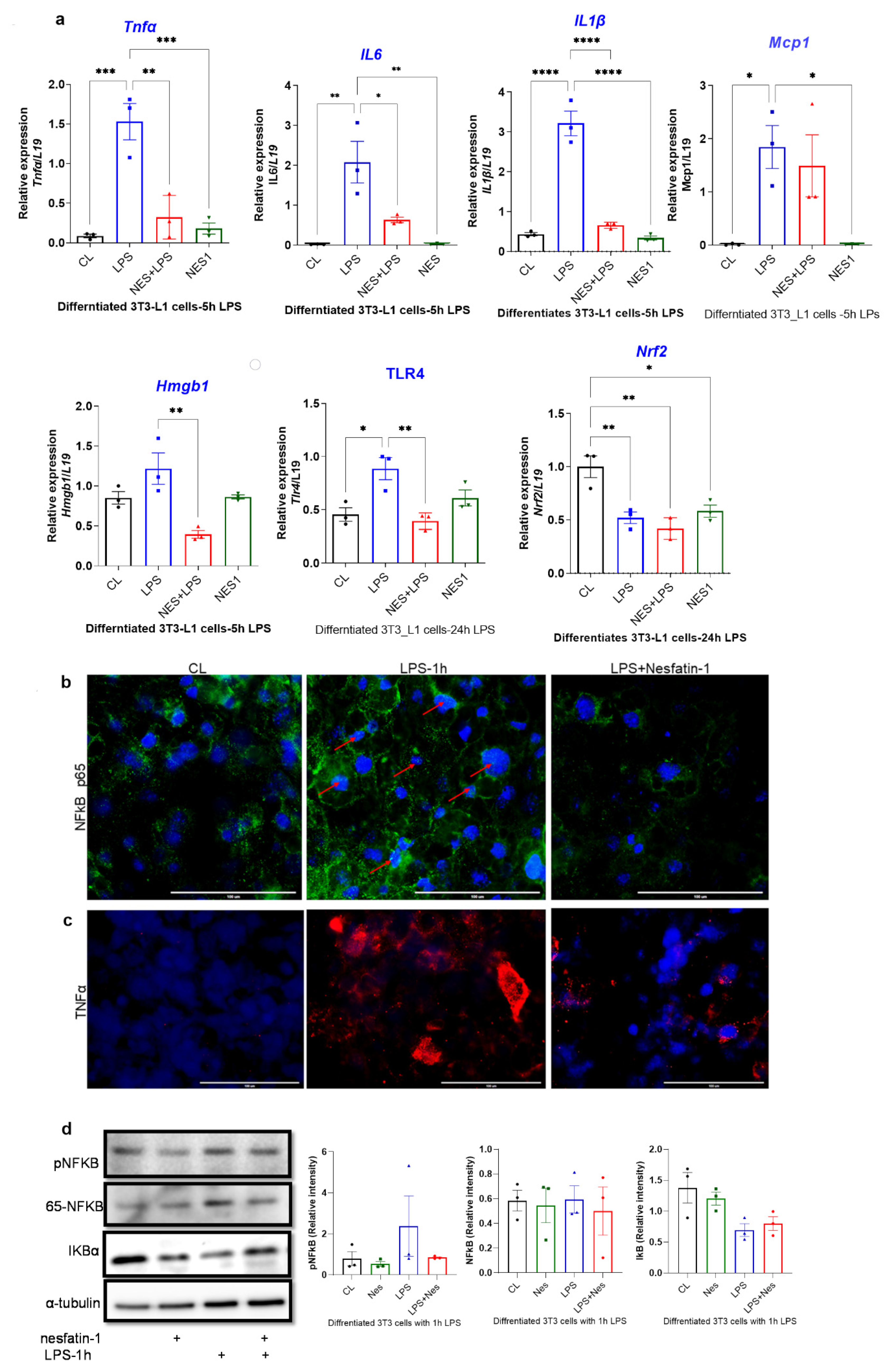 Nutrients 14 01409 g003a