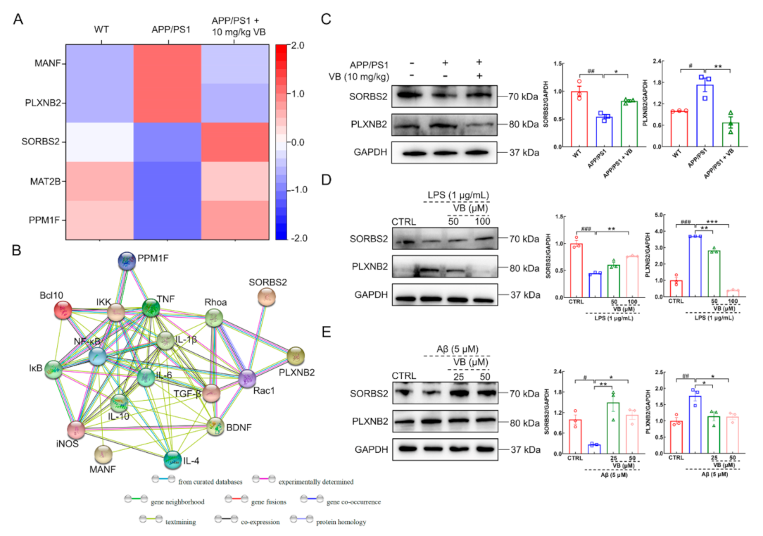 Nutrients 14 01417 g001 550
