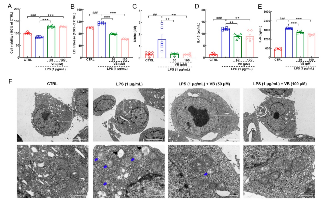 Nutrients 14 01417 g004 550