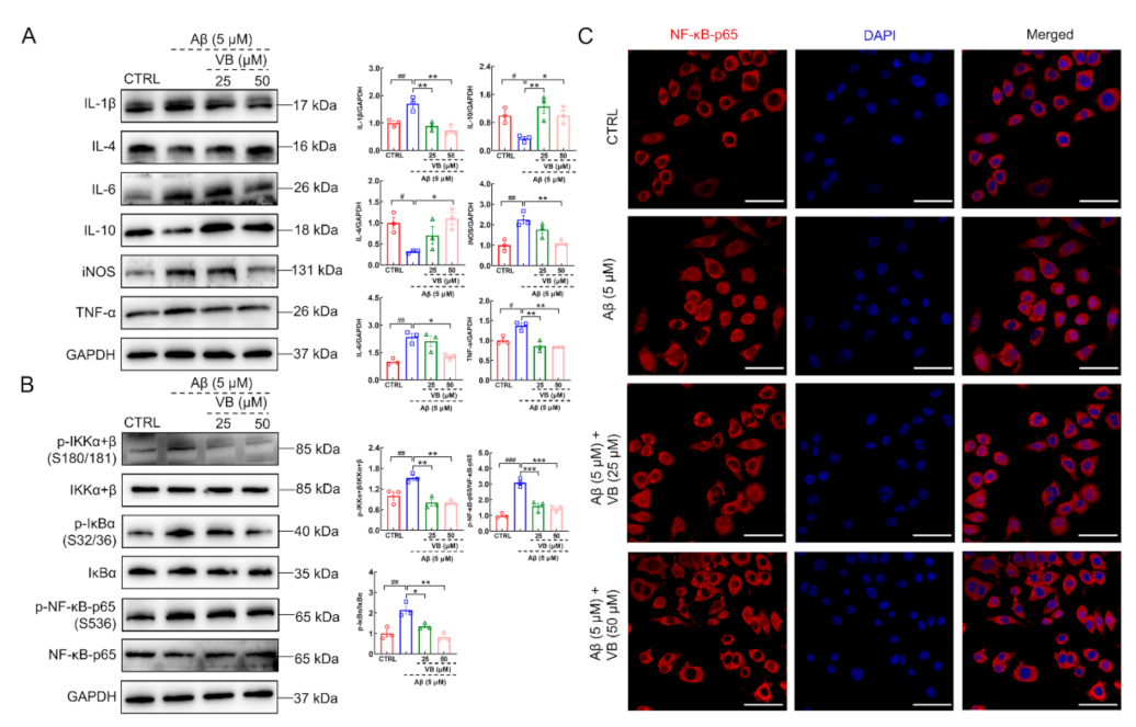 Nutrients 14 01417 g007 550