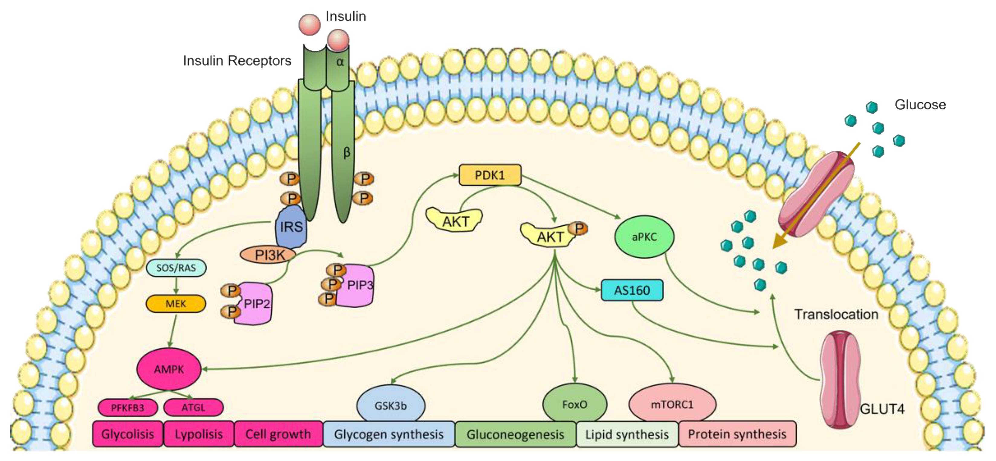 Nutrients 14 01425 g001