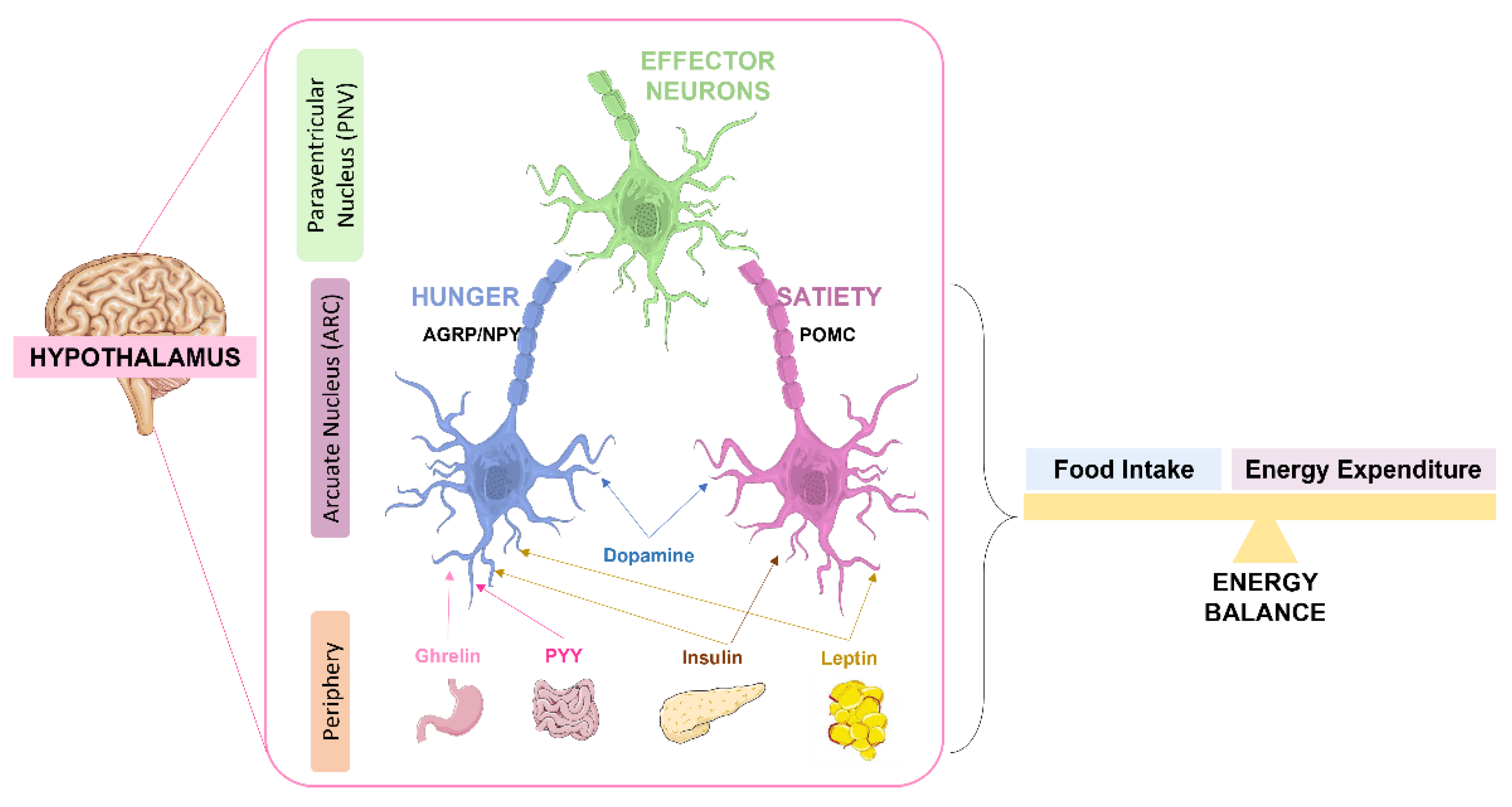 Nutrients 14 01425 g002