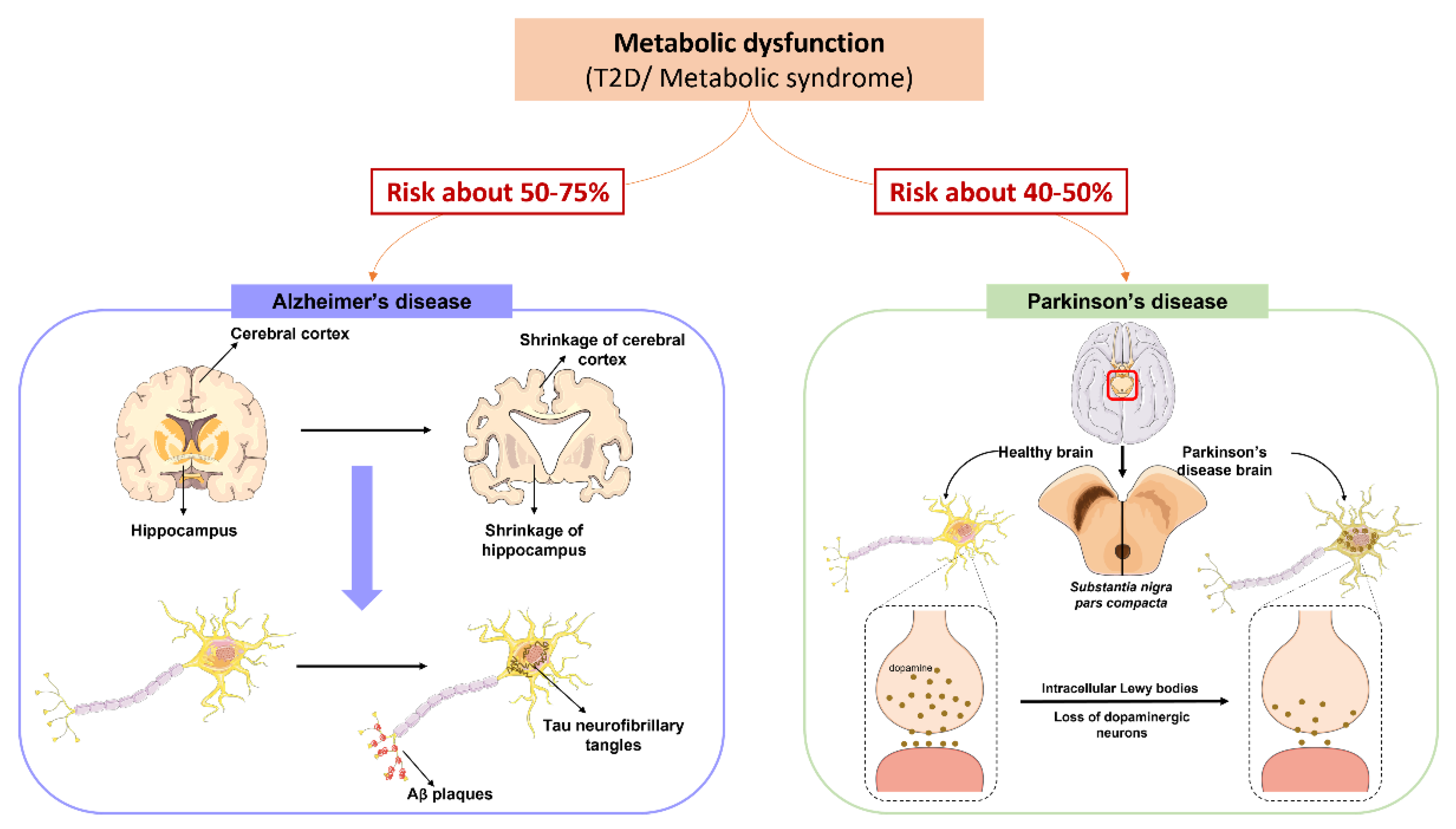 Nutrients 14 01425 g003