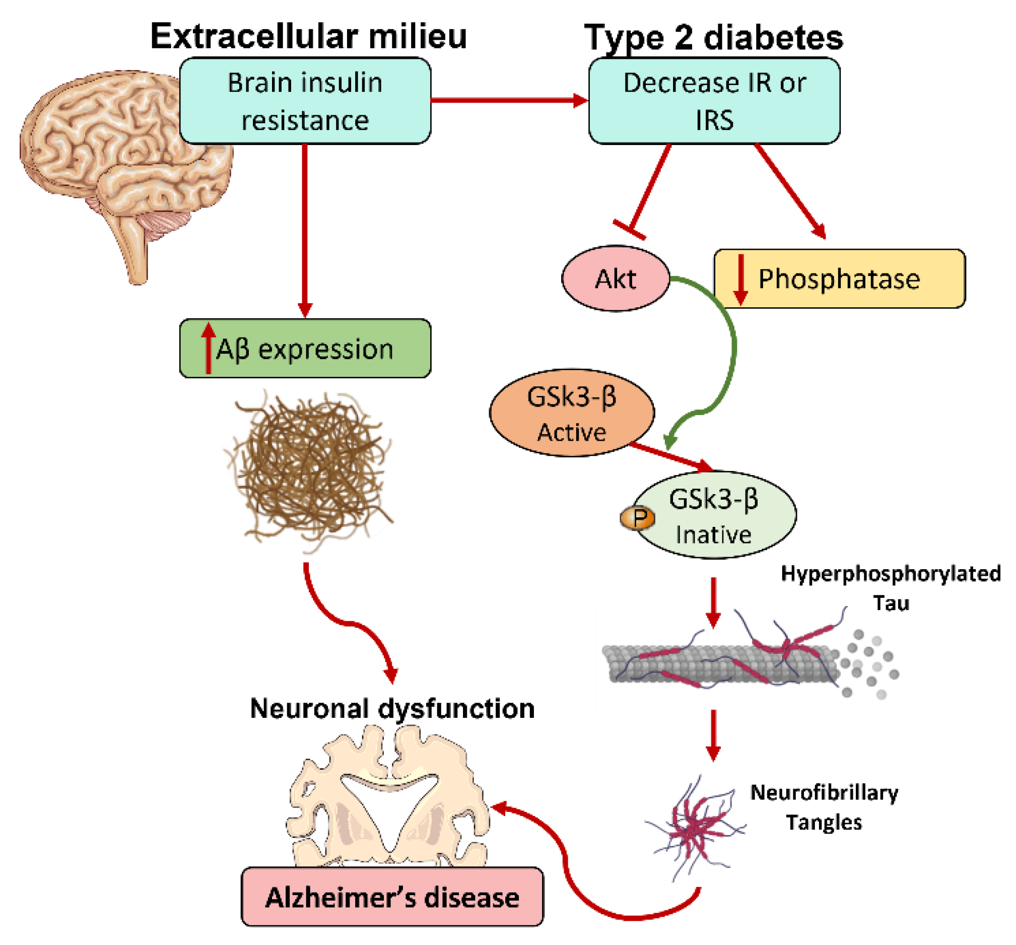 Nutrients 14 01425 g004