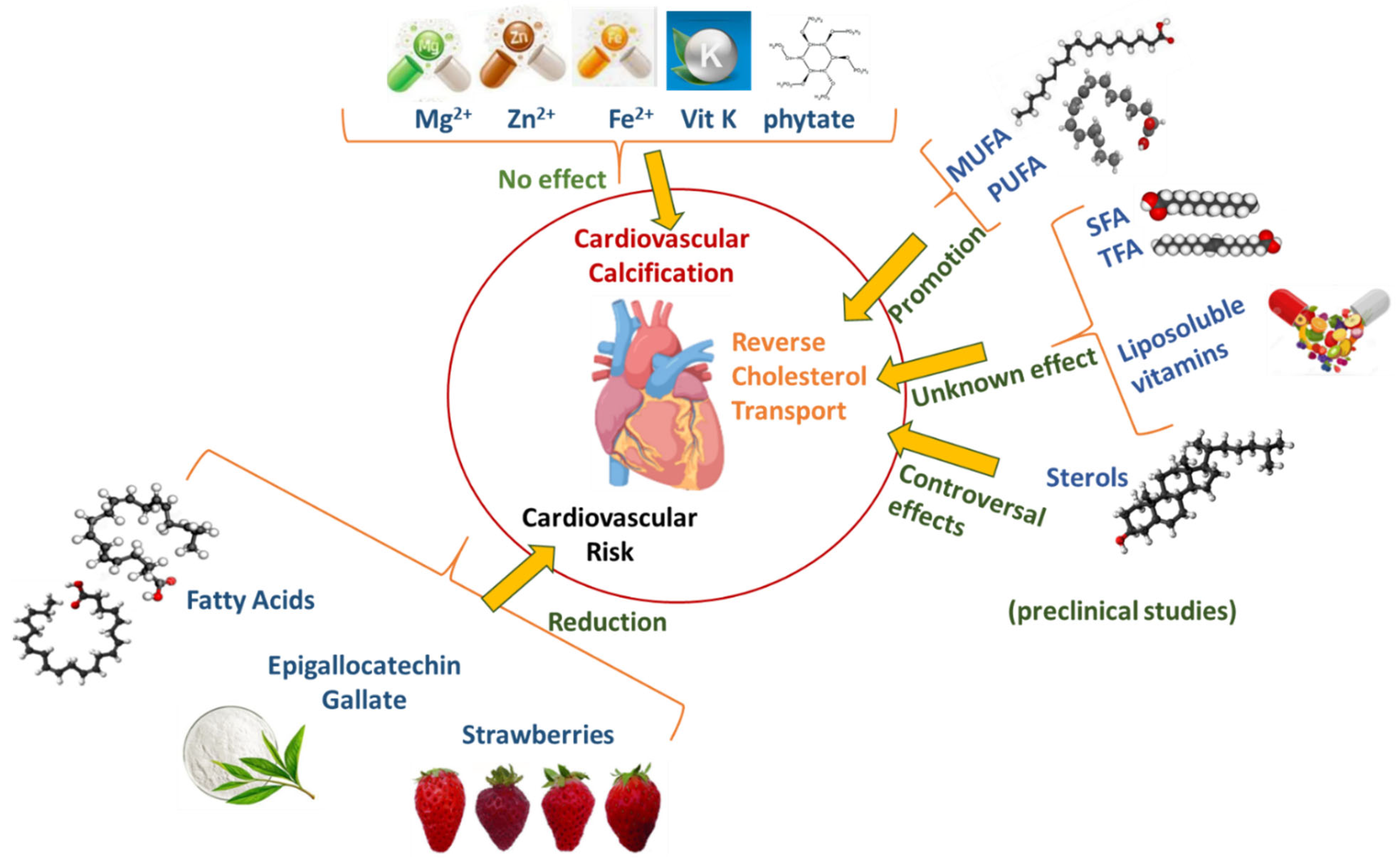 Nutrients 14 01435 g001 550