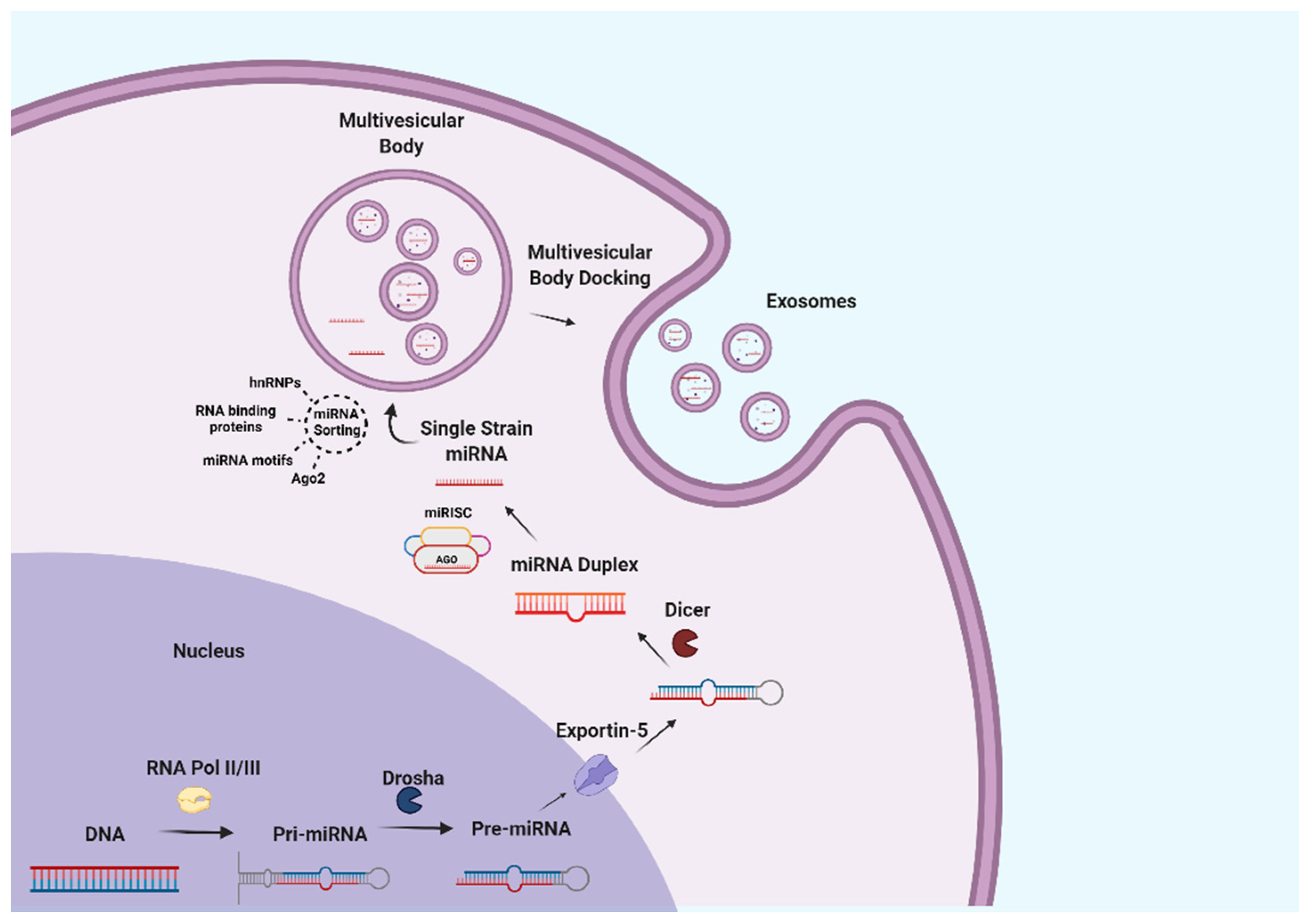 Nutrients 14 01442 g002 Nutrients 14 01442 g002