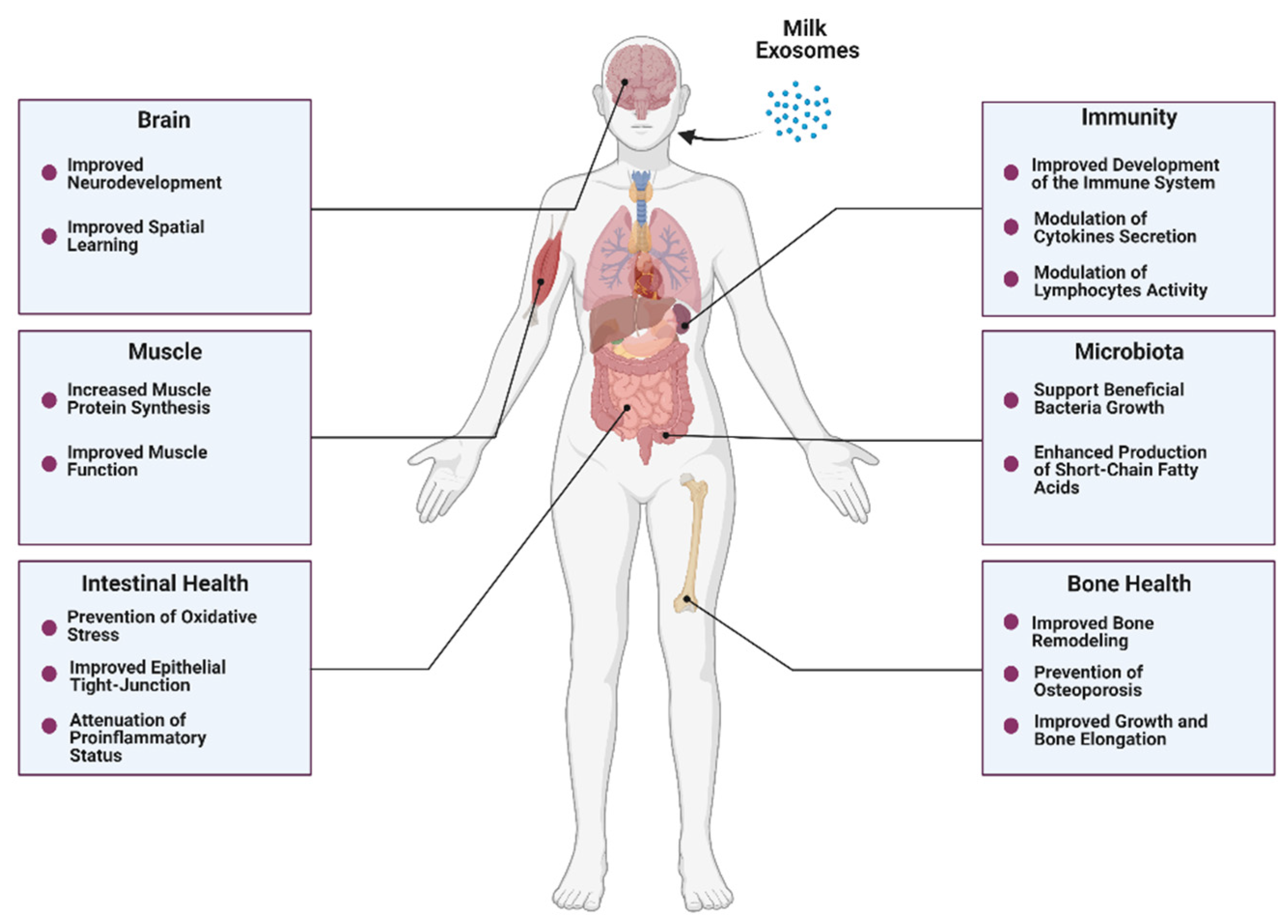 Nutrients 14 01442 g003 Nutrients 14 01442 g003