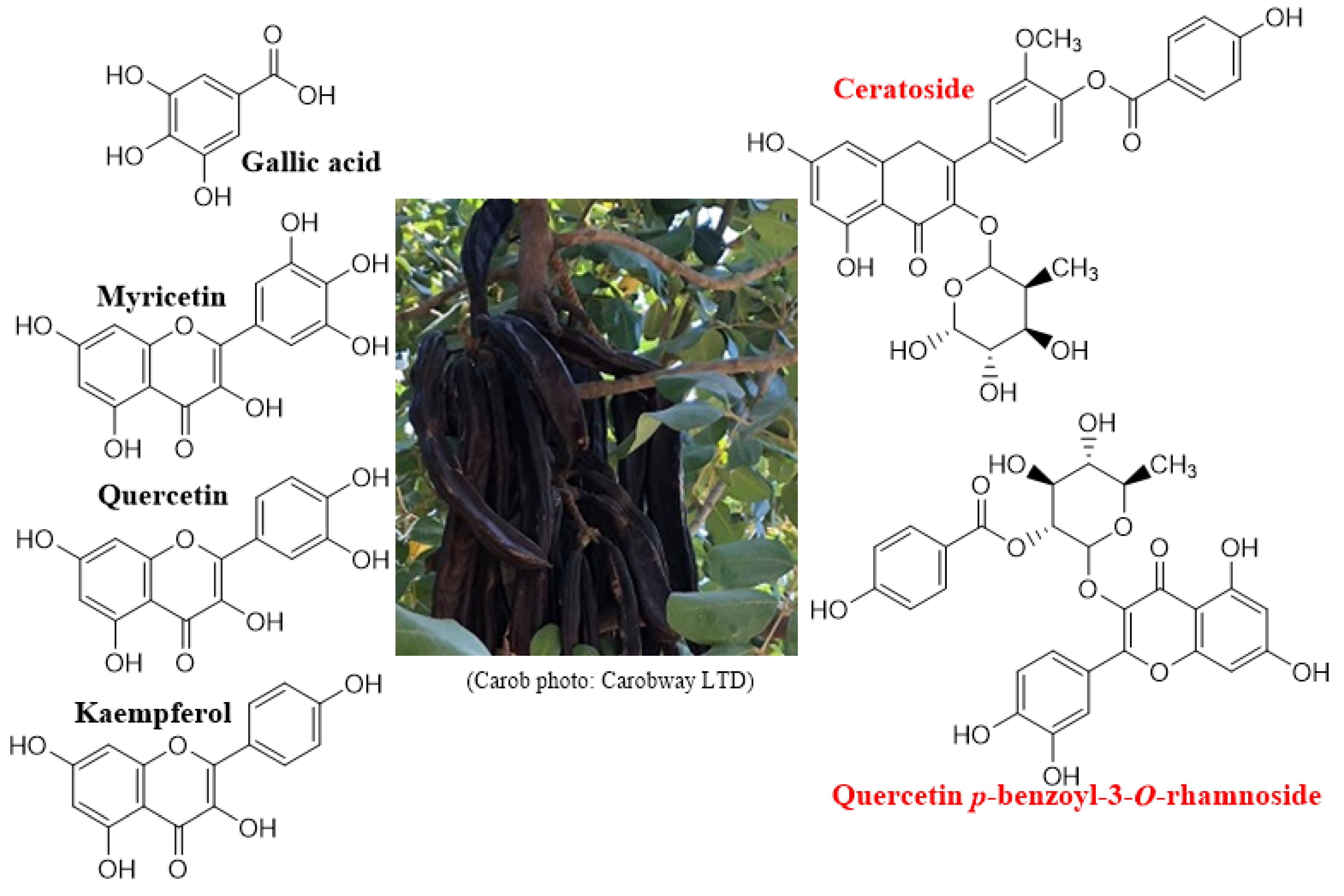 Nutrients 14 01453 g001