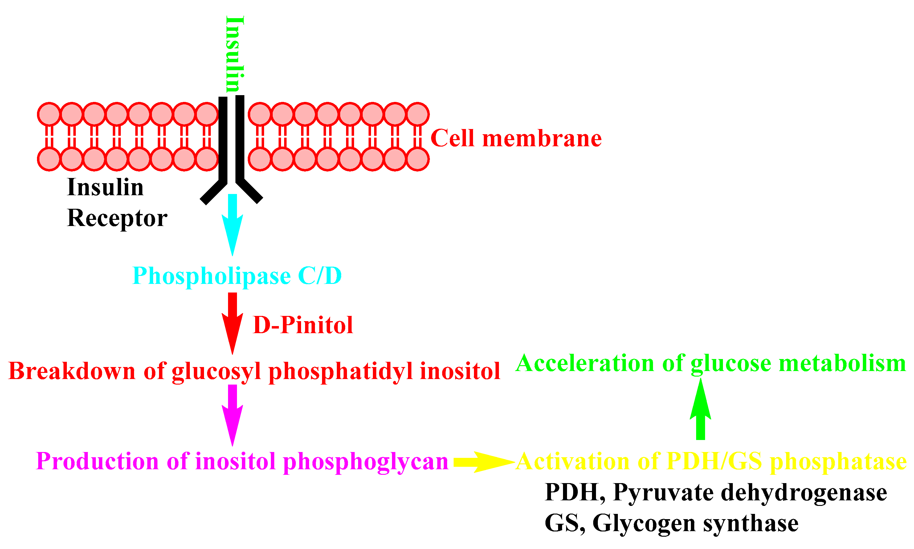 Nutrients 14 01453 g008 Nutrients 14 01453 g008