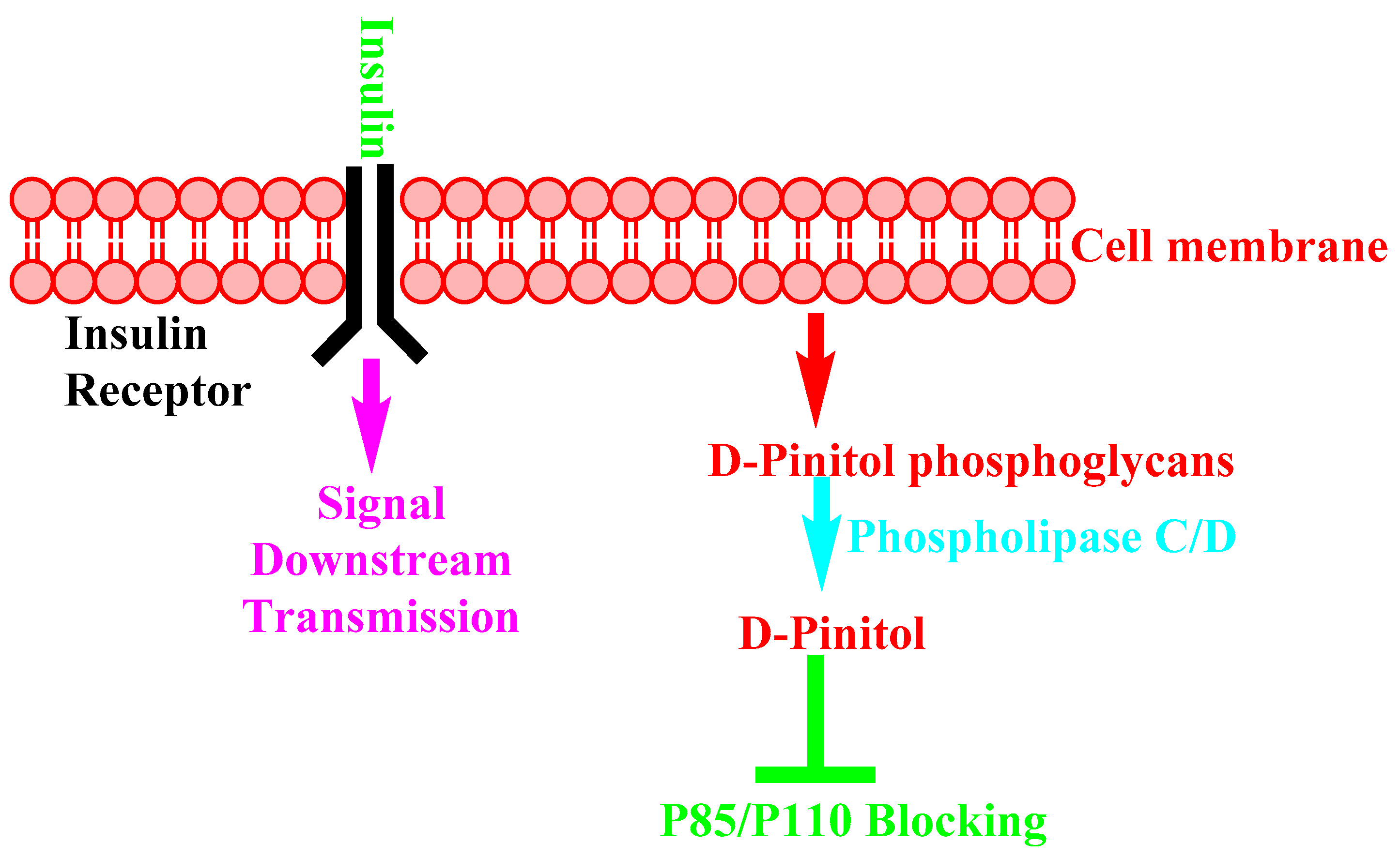 Nutrients 14 01453 g009 Nutrients 14 01453 g009