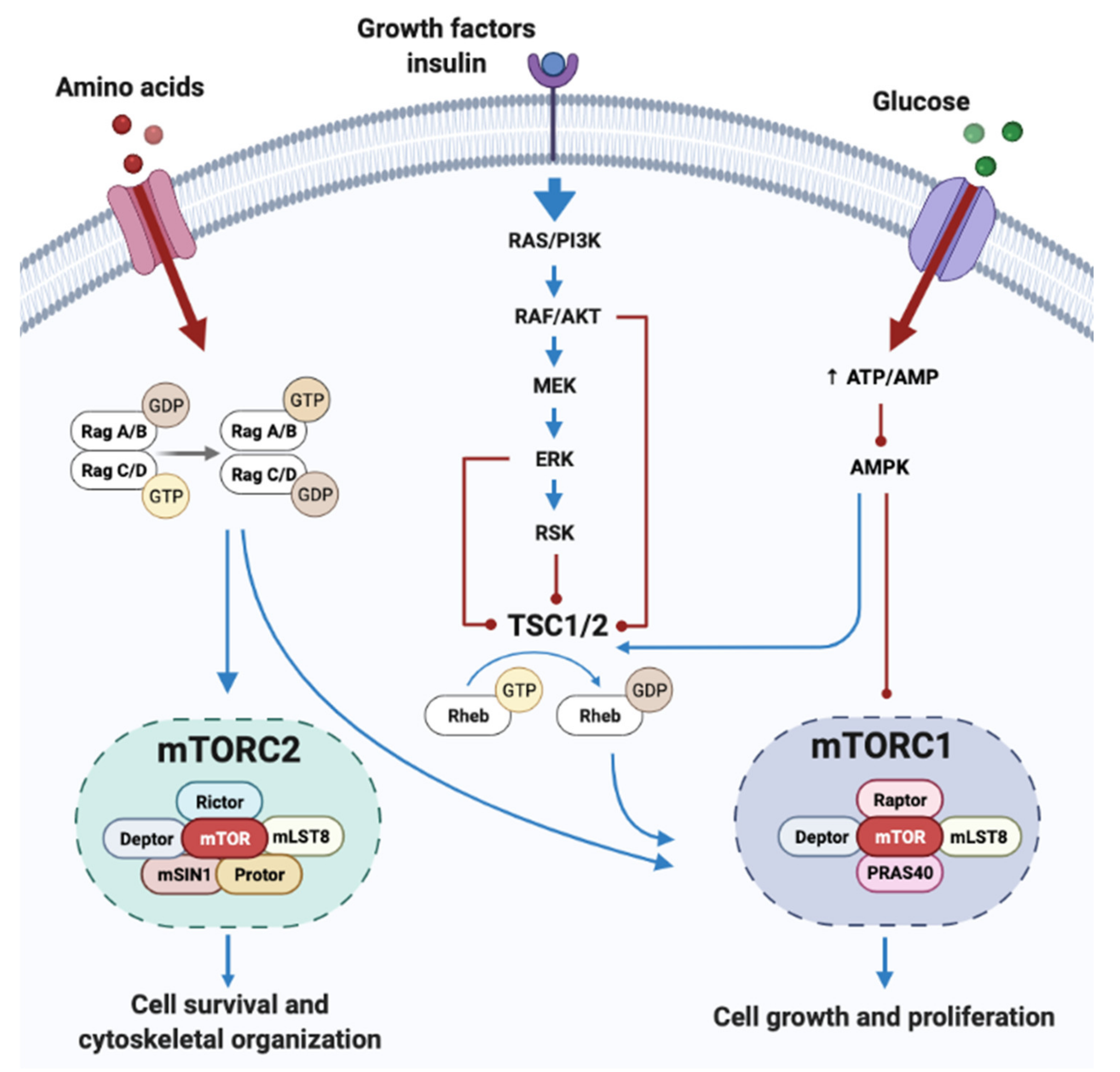 Nutrients 14 01454 g002