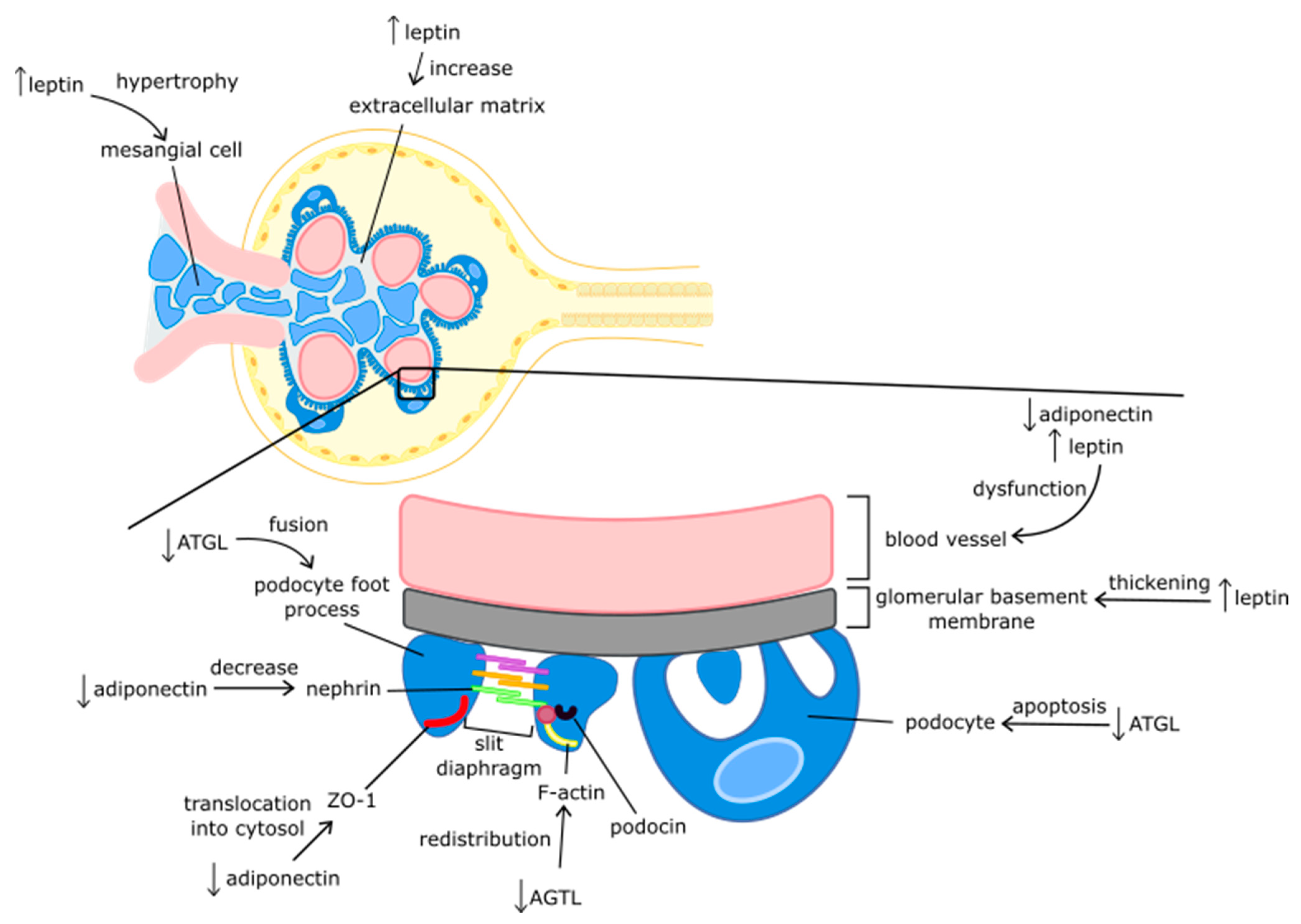 Nutrients 14 01457 g003