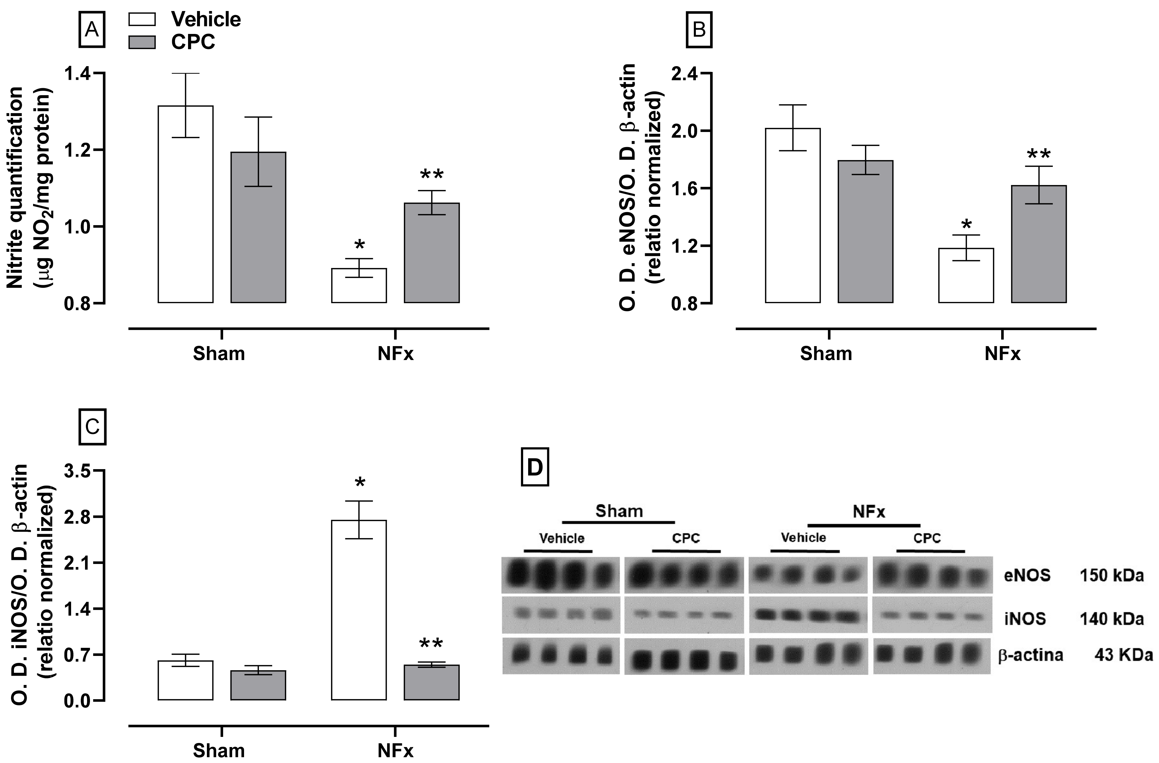 Nutrients 14 01464 g006