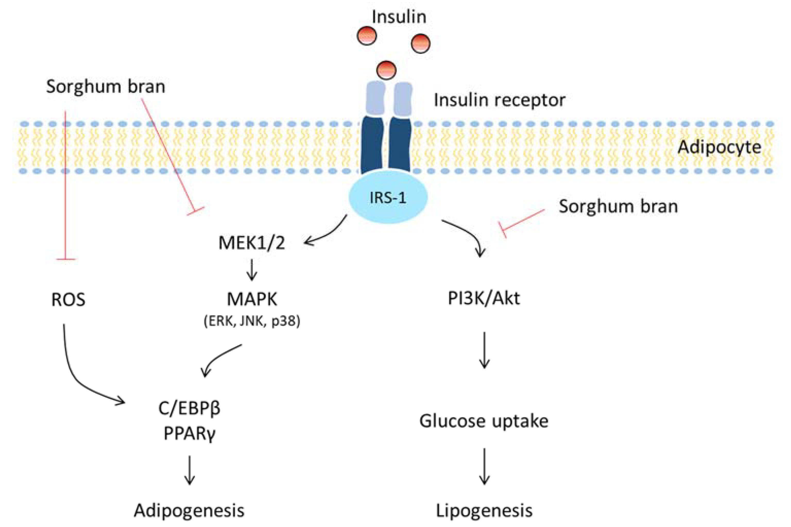 Nutrients 14 01493 g008