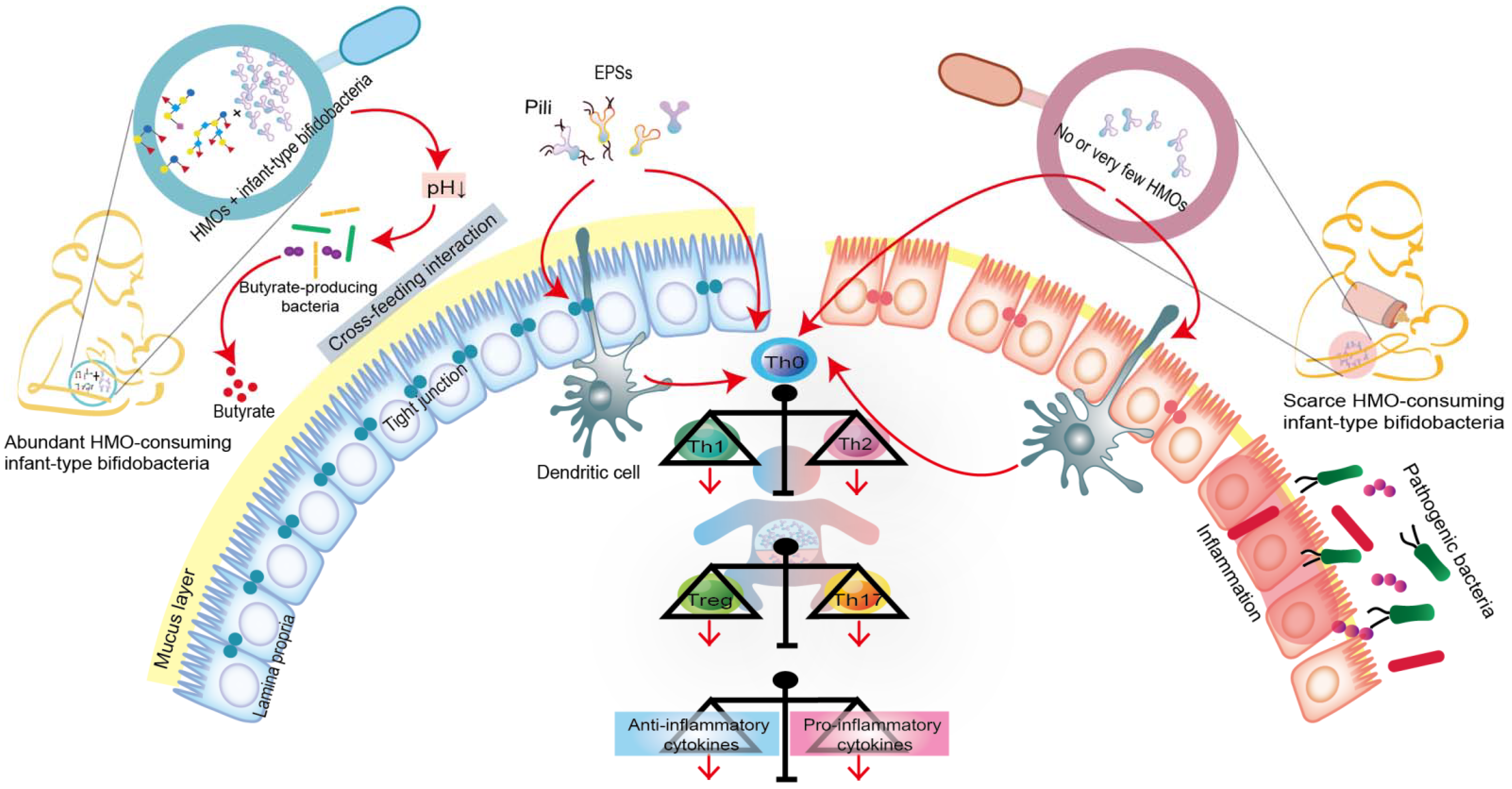 Nutrients 14 01498 g002