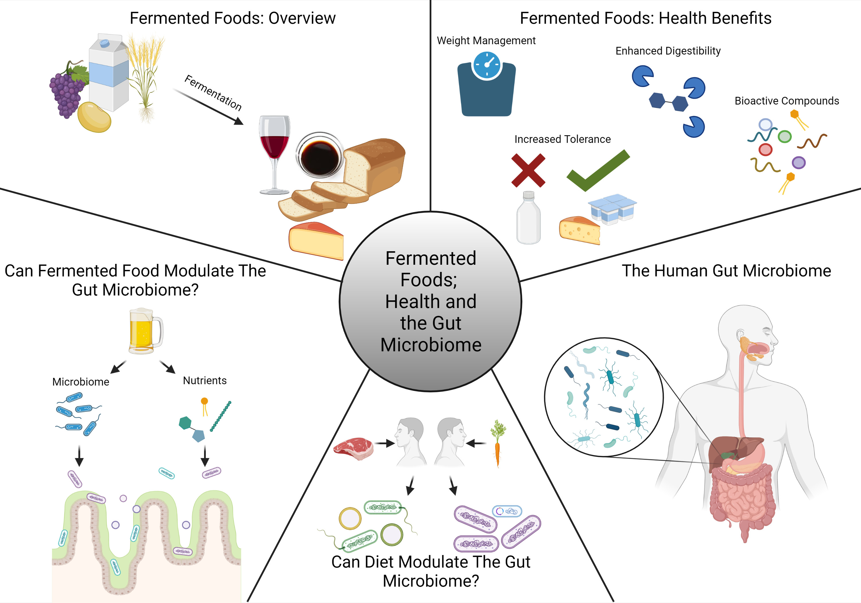 Nutrients Free Full Text Fermented Foods Health And The Gut Microbiome nutrients-free-full-text-fermented-foods-health-and-the-gut-microbiome