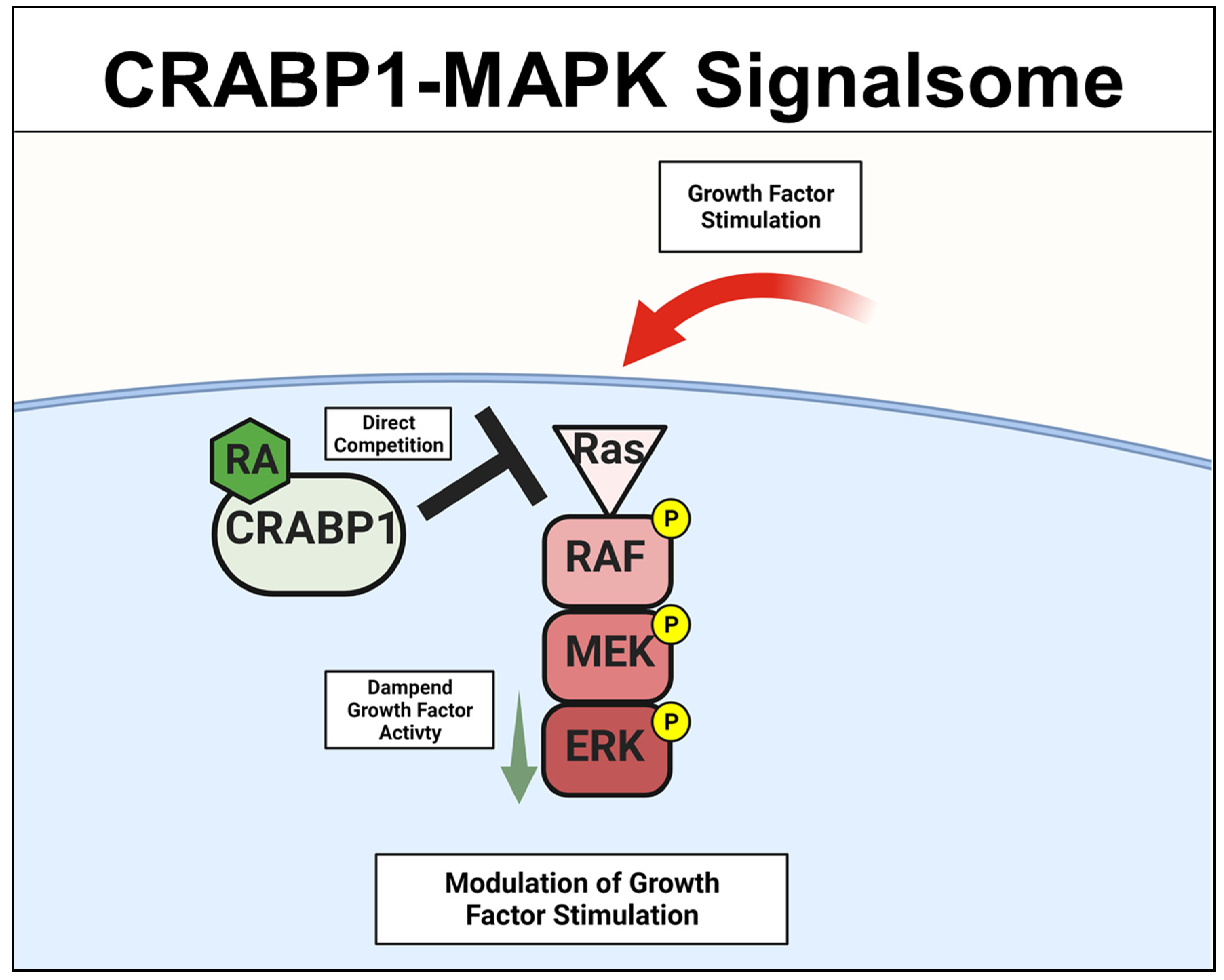 Nutrients 14 01528 g002