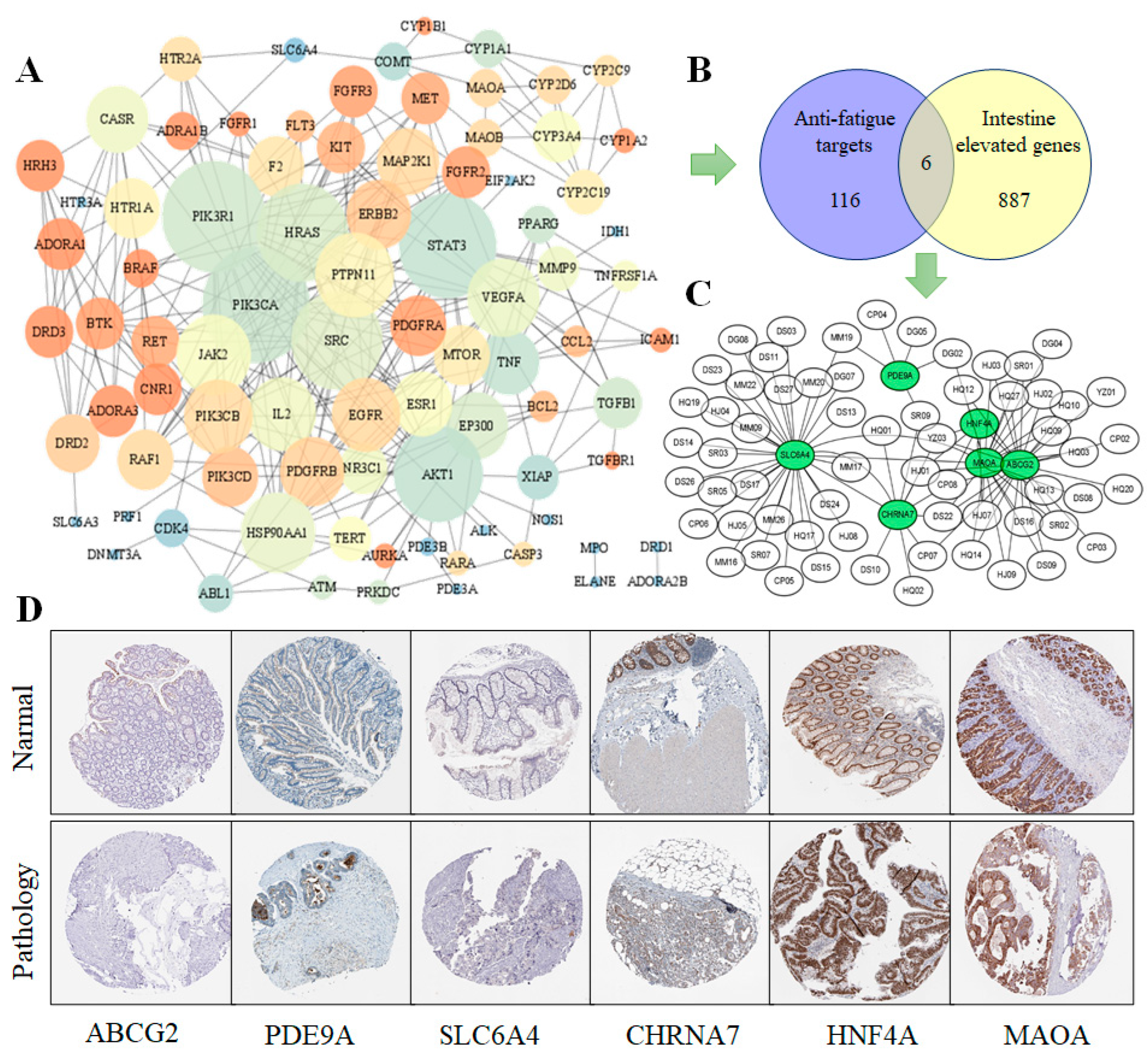 Nutrients 14 01533 g003 Nutrients 14 01533 g003