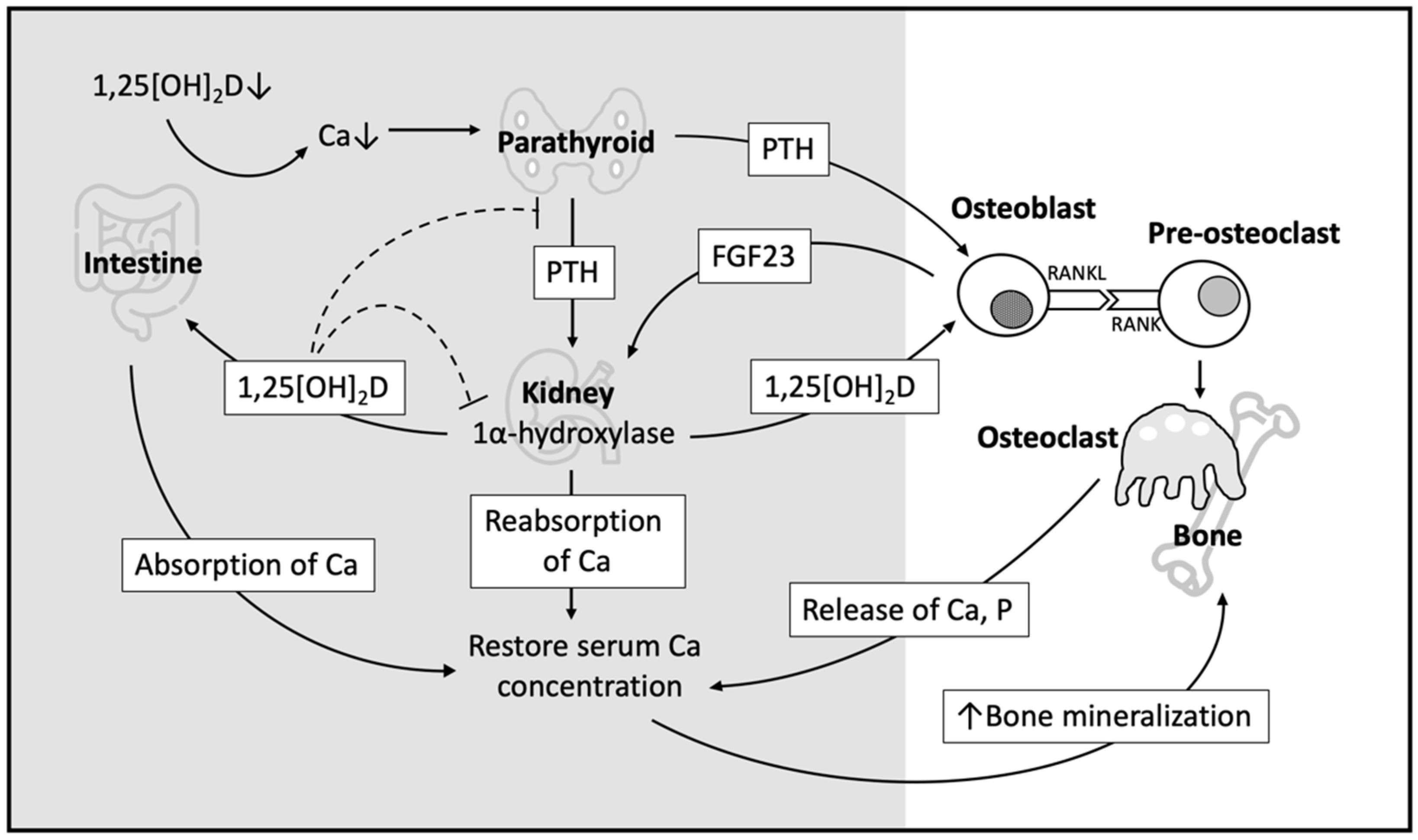 Nutrients 14 01538 g002