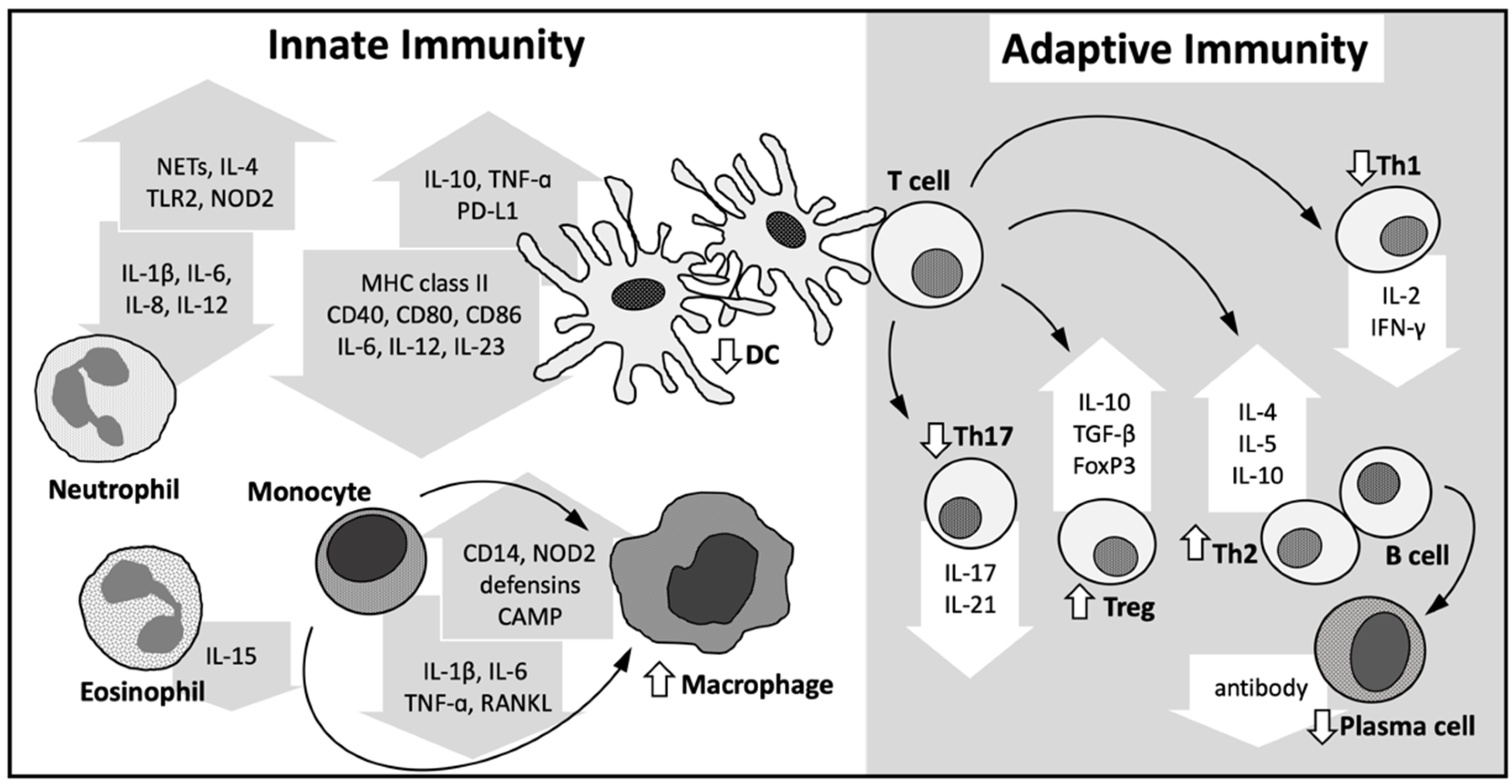 Nutrients 14 01538 g003