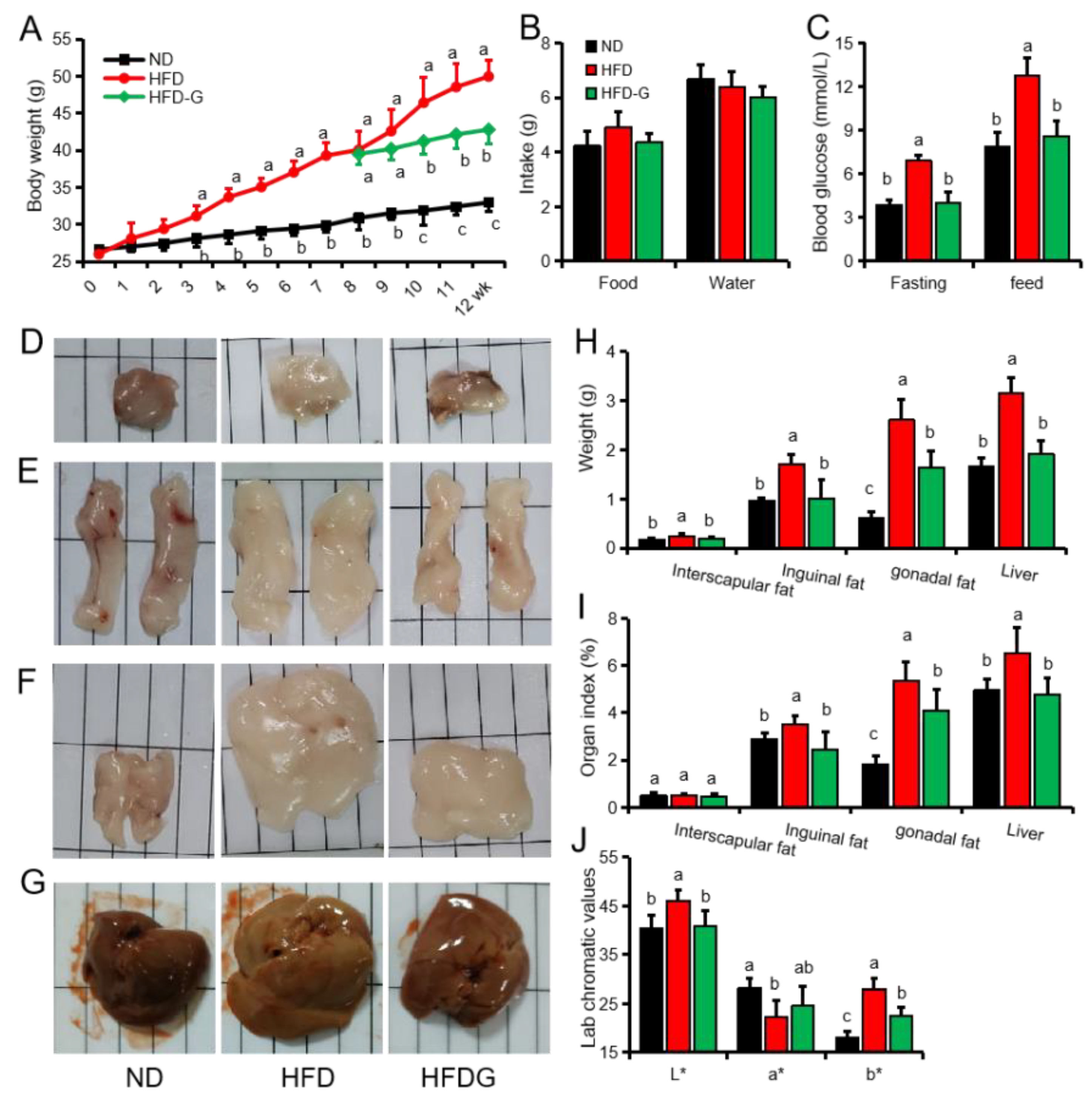 Nutrients 14 01551 g001