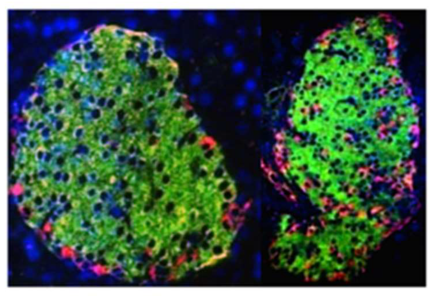 Nutrients 14 01553 g005 Nutrients 14 01553 g005