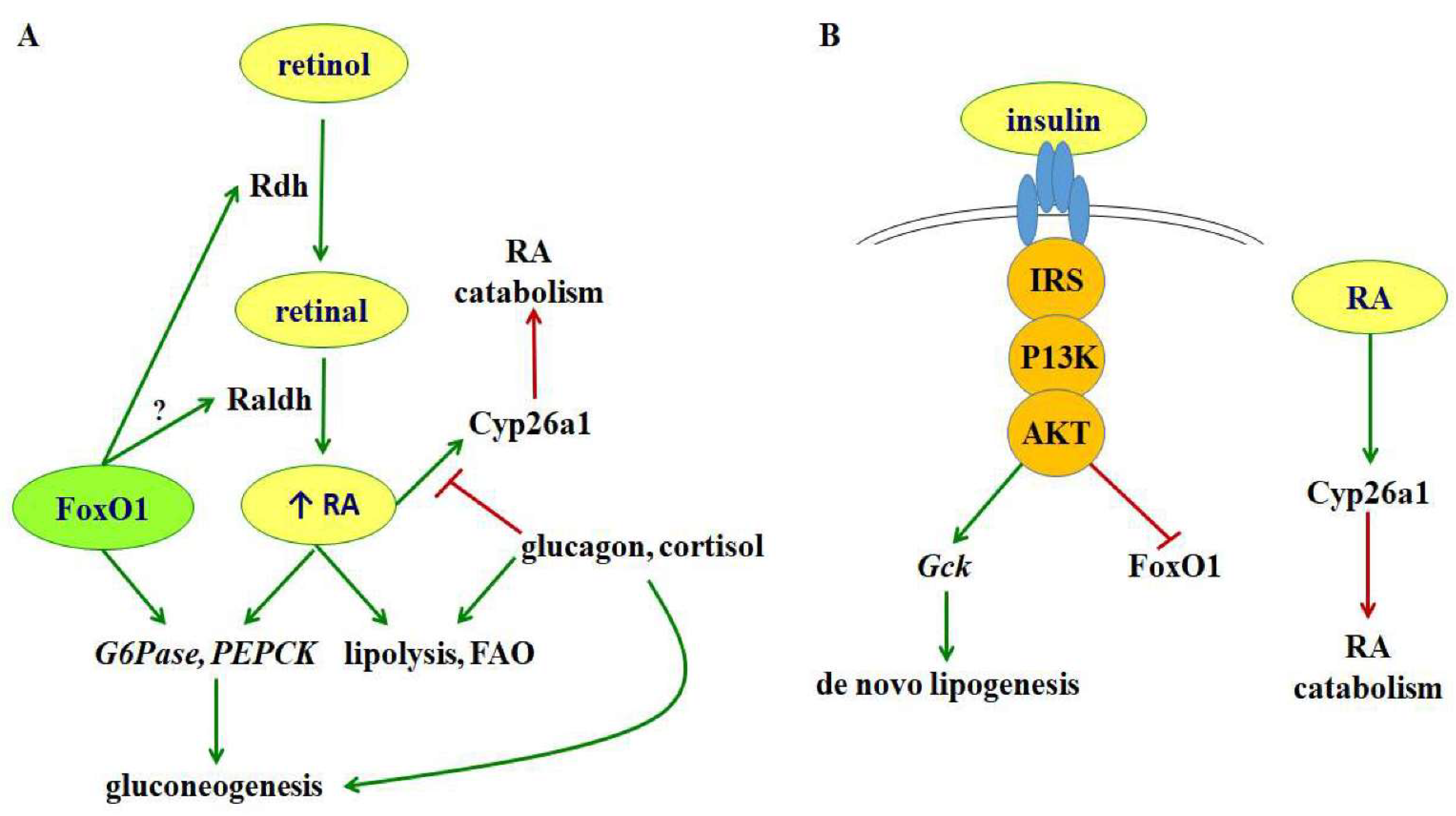 rheumatoid arthritis 1. szakasz rheumatoid arthritis tabletták