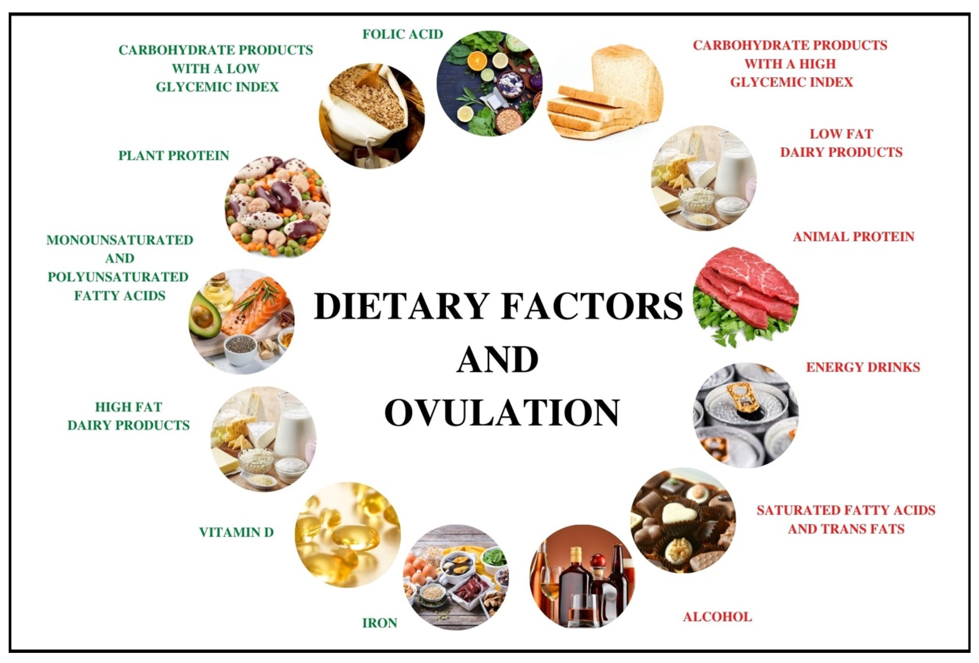 Dietary problem And Its Impact On Ovulation