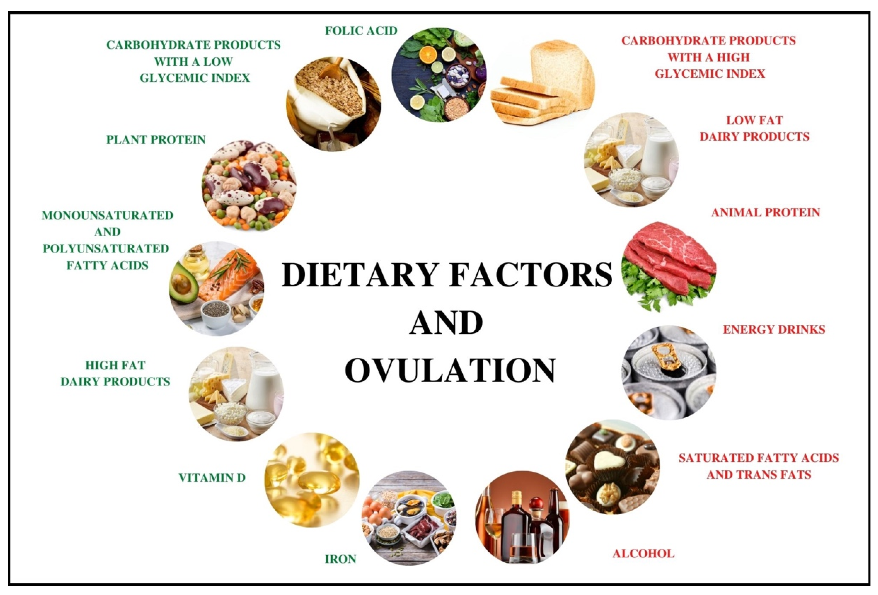Dietary problem And Its Impact On Ovulation Dietary problem And Its Impact On Ovulation