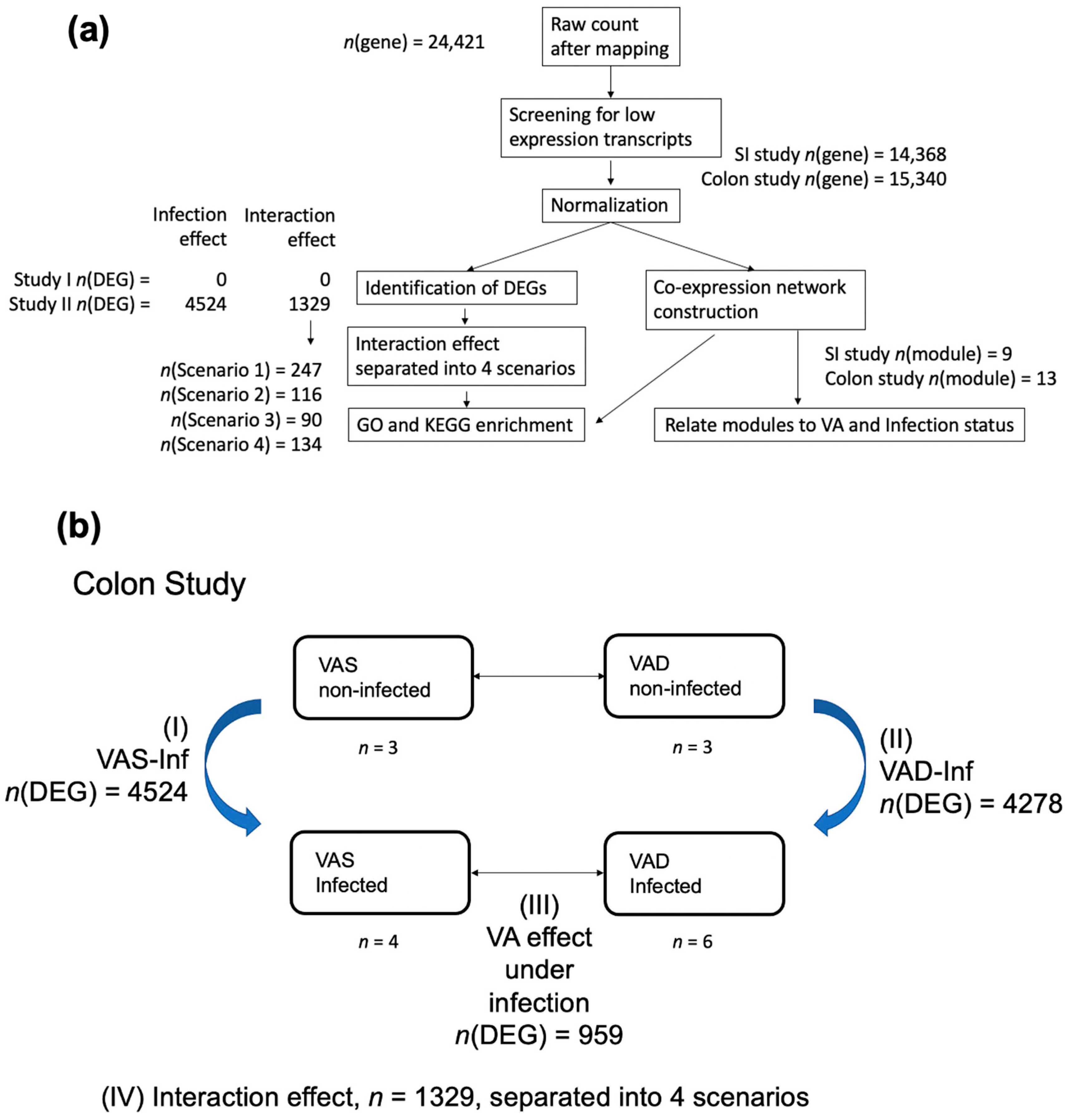 Nutrients 14 01563 g001